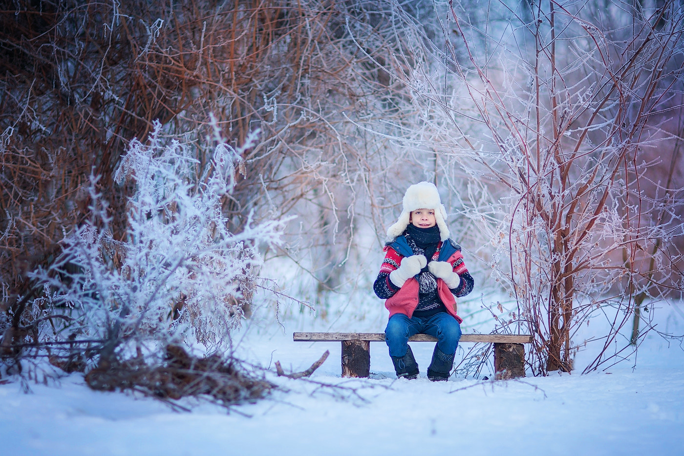 Canon EOS-1D Mark III sample photo. Winter photography