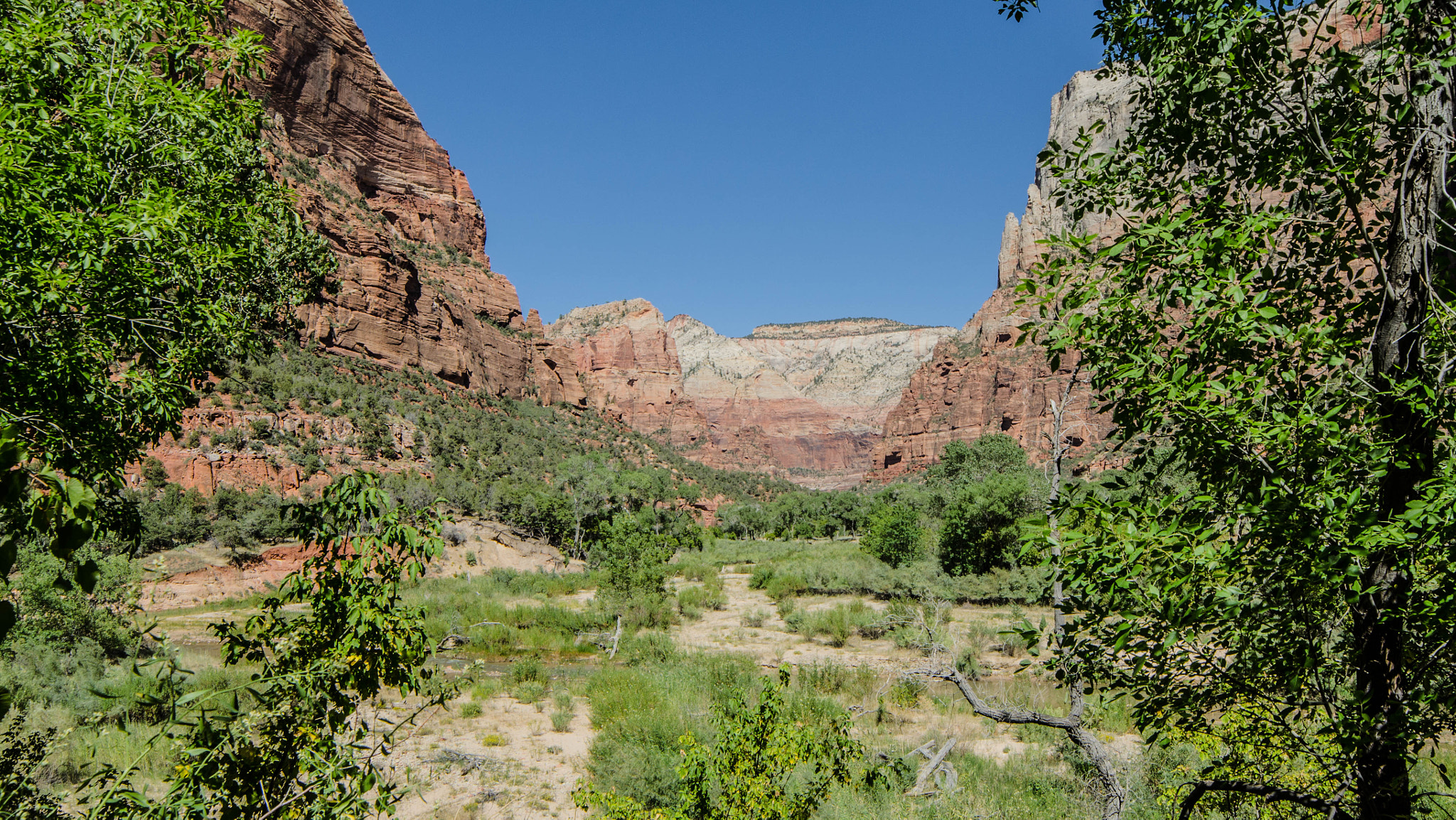 Samyang 14mm F2.8 ED AS IF UMC sample photo. Zion park photography
