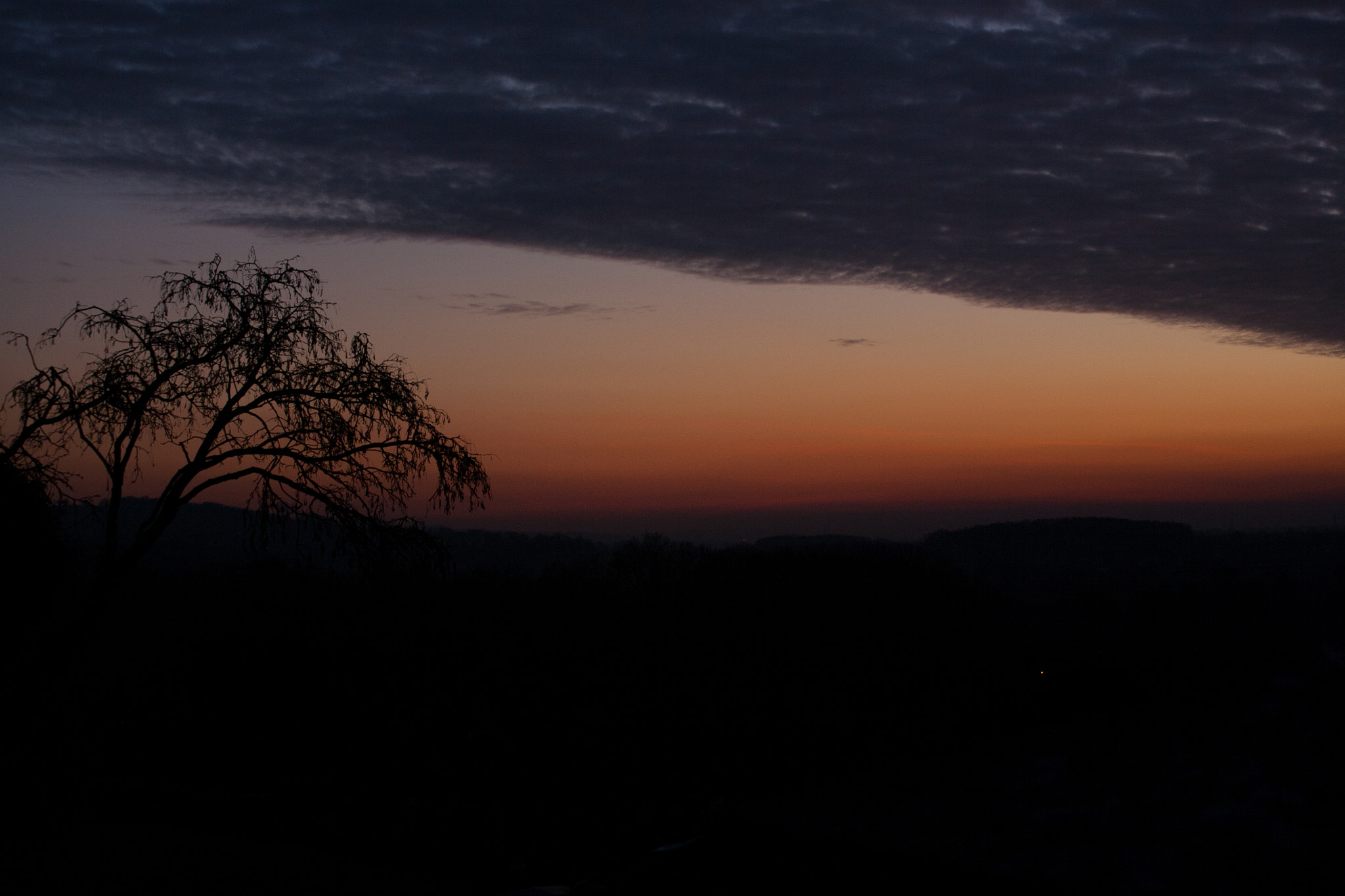 Canon EOS 5D + Canon EF 70-200mm F4L USM sample photo. Tree silhouette #2 photography