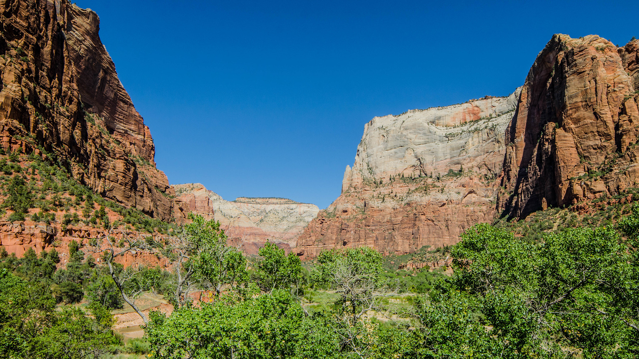 Samyang 14mm F2.8 ED AS IF UMC sample photo. Zion park photography