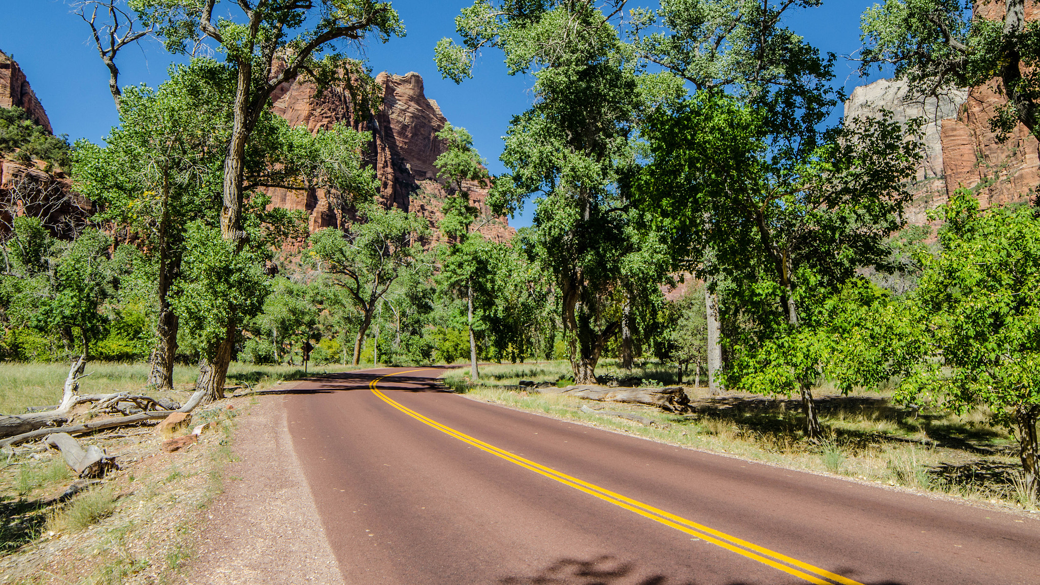 Samyang 14mm F2.8 ED AS IF UMC sample photo. Zion park photography