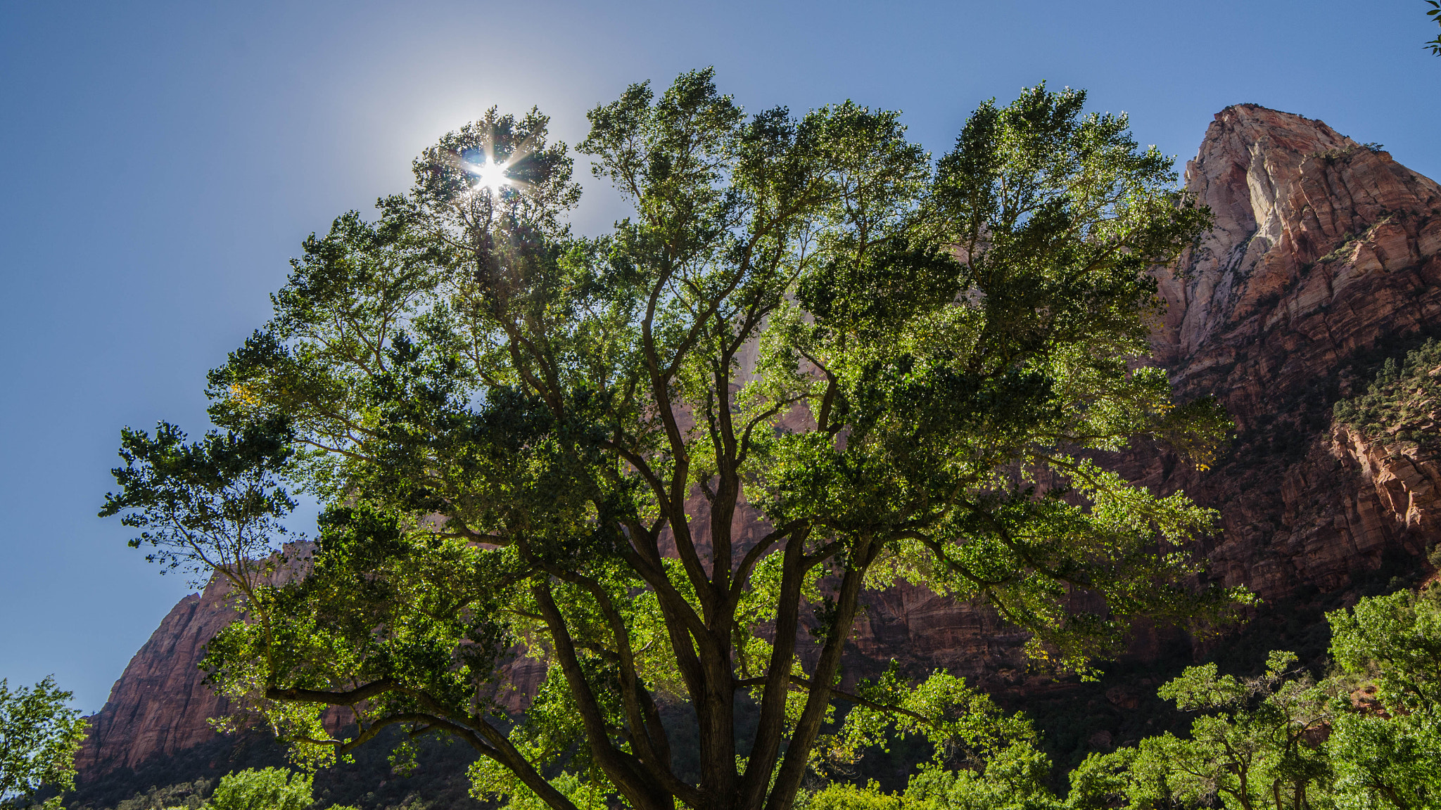Samyang 14mm F2.8 ED AS IF UMC sample photo. Zion park photography