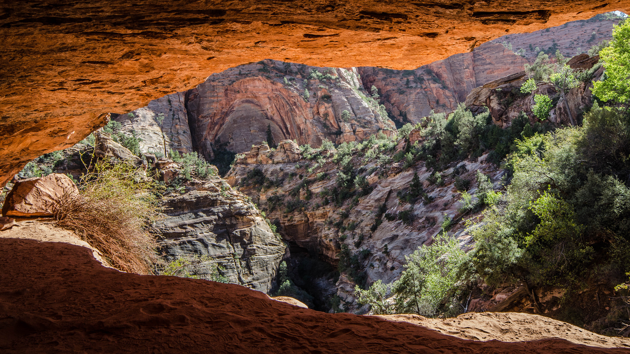 Samyang 14mm F2.8 ED AS IF UMC sample photo. Zion park photography