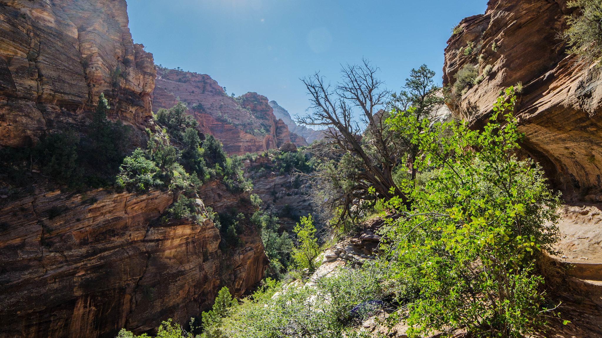 Samyang 14mm F2.8 ED AS IF UMC sample photo. Zion park photography
