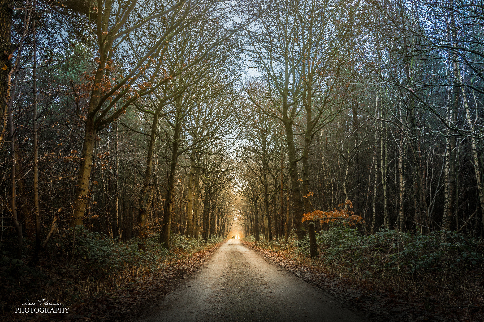 Canon EF 16-35mm F2.8L II USM sample photo. The wonder of nature photography
