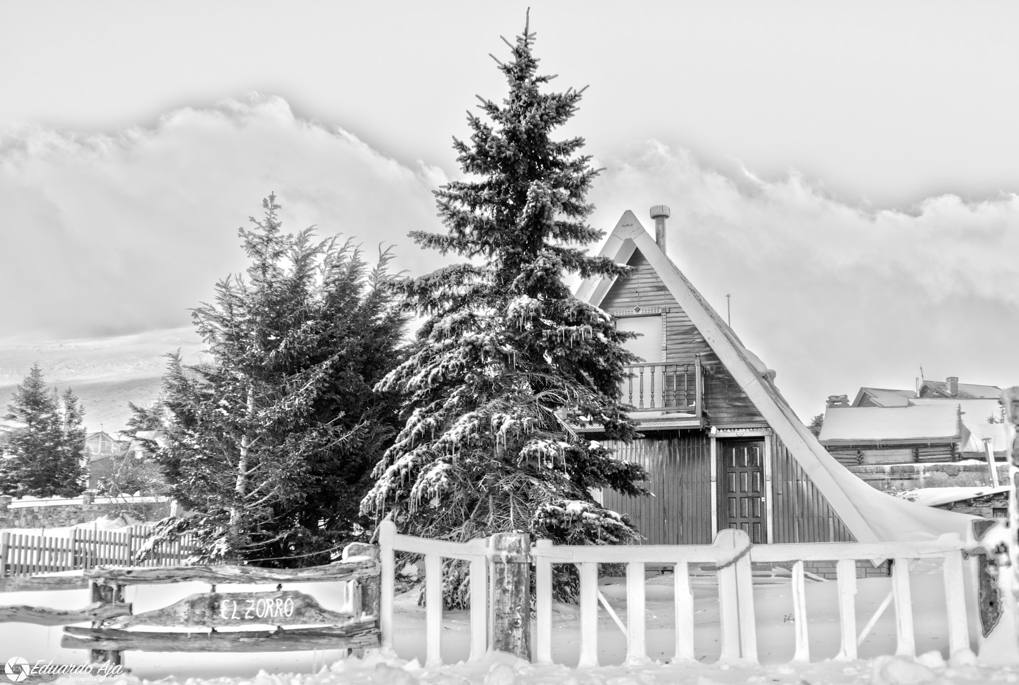 AF Zoom-Nikkor 28-85mm f/3.5-4.5 sample photo. Nieve photography