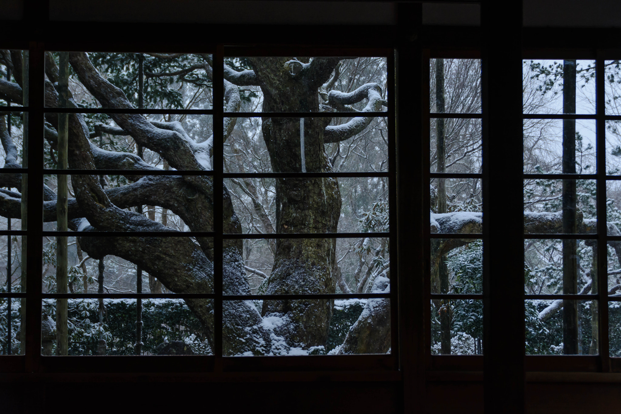 Sigma 18-200mm F3.5-6.3 II DC OS HSM sample photo. 宝泉院 photography