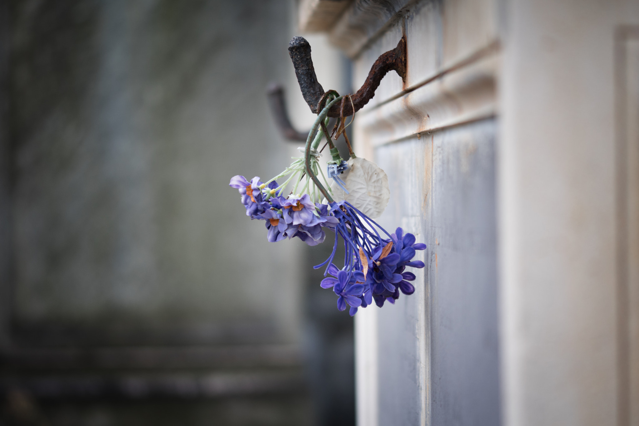 Sigma 105mm F2.8 EX DG OS HSM sample photo. Remembrance #2 photography