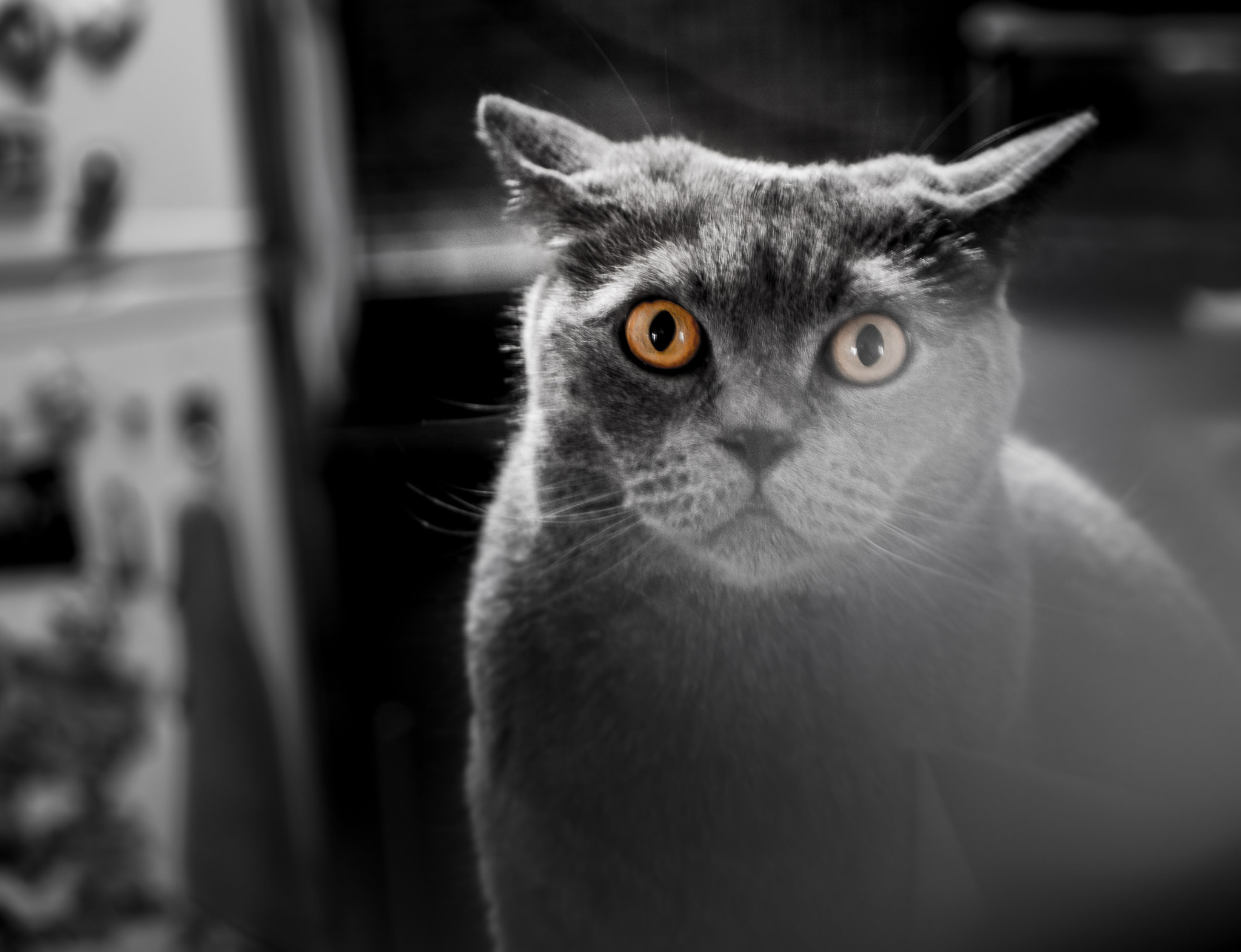 Olympus OM-D E-M10 + LUMIX G 25/F1.7 sample photo. What do you want... photography