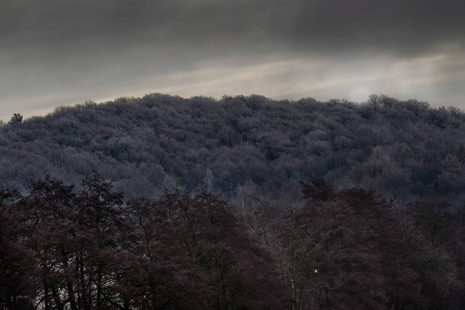 Canon EOS-1D X Mark II sample photo. Gloaming slightly beginning photography