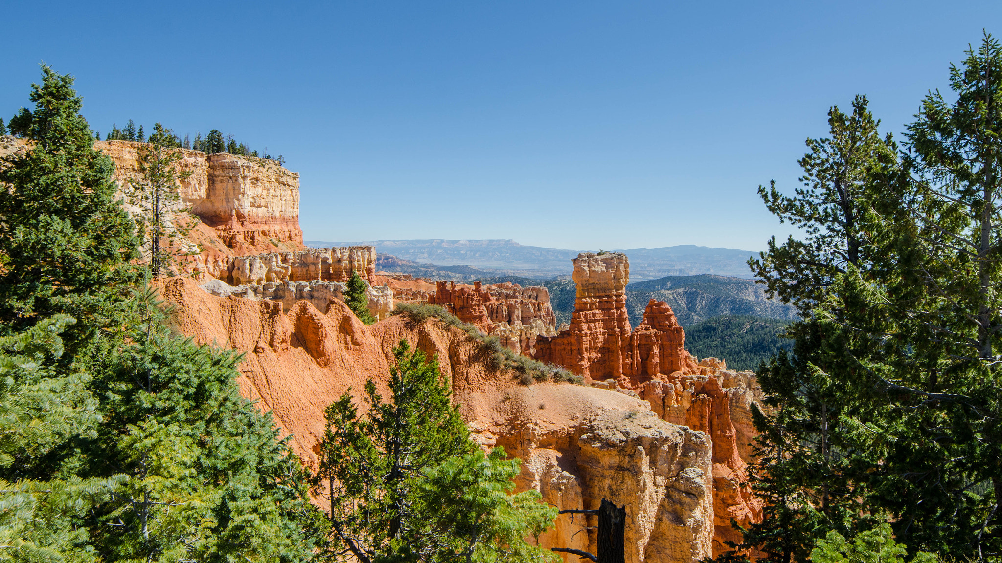 Samyang 14mm F2.8 ED AS IF UMC sample photo. Bryce canyon photography