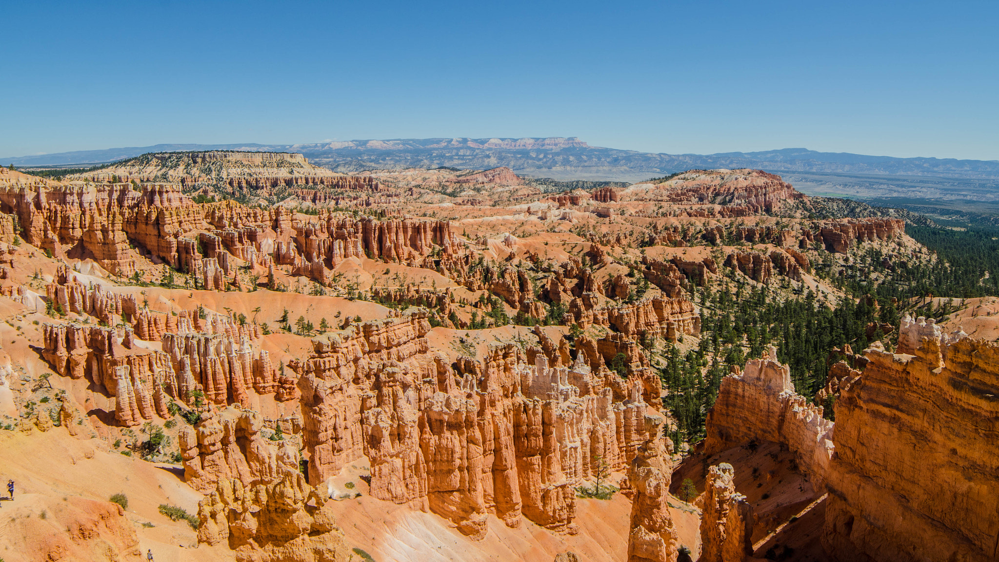 Samyang 14mm F2.8 ED AS IF UMC sample photo. Bryce canyon photography