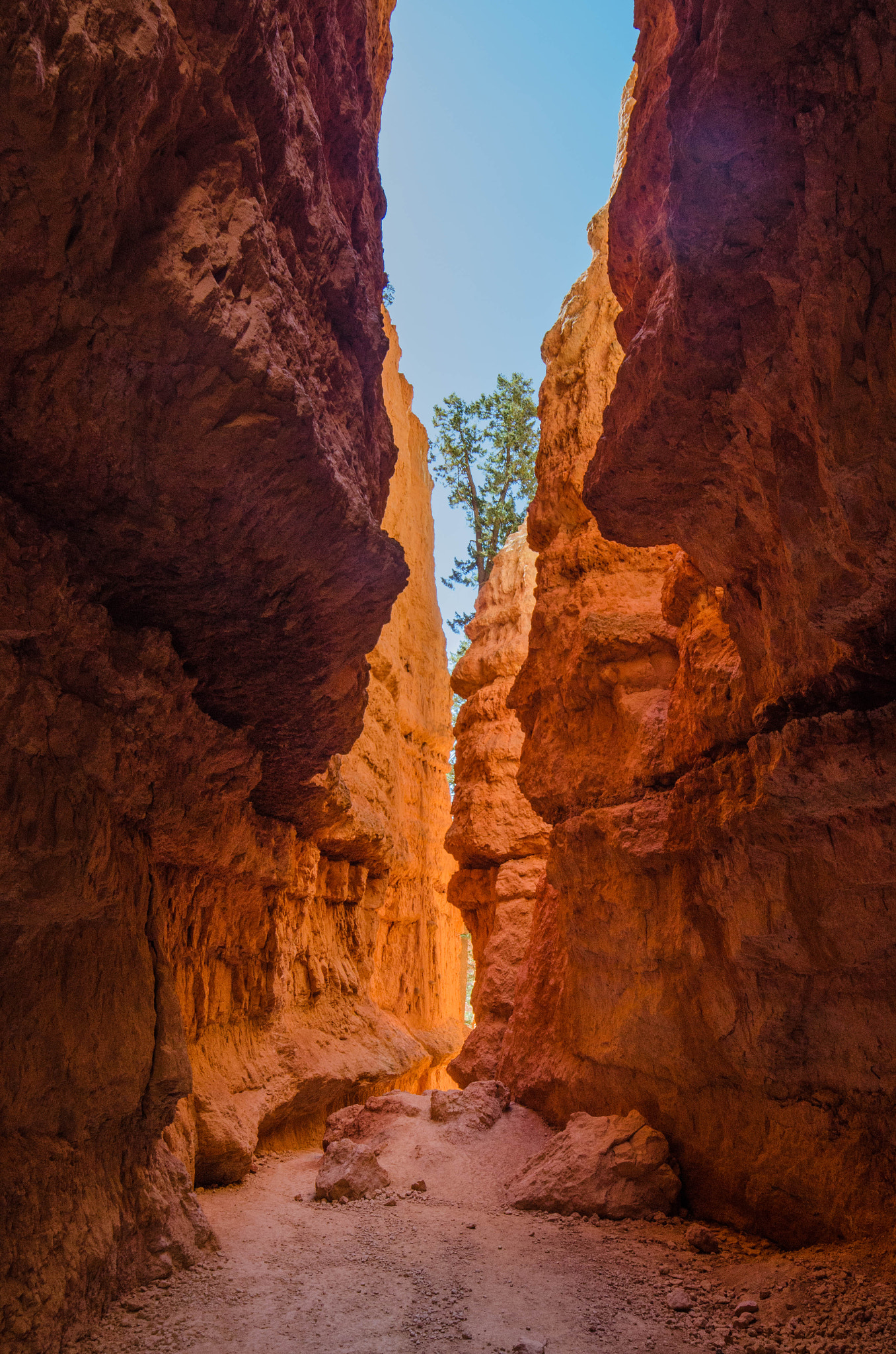 Samyang 14mm F2.8 ED AS IF UMC sample photo. Bryce canyon photography