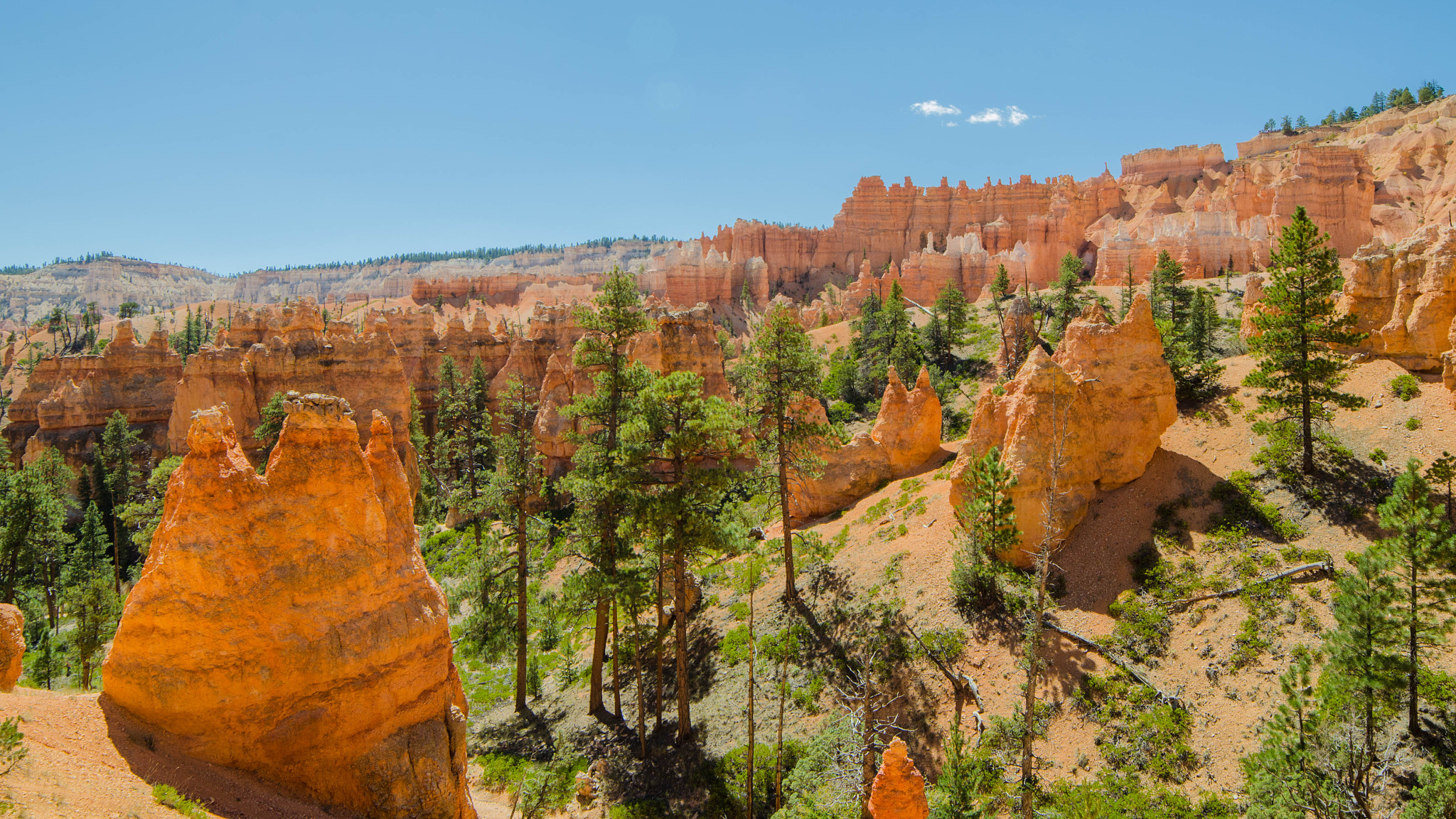 Samyang 14mm F2.8 ED AS IF UMC sample photo. Bryce canyon photography