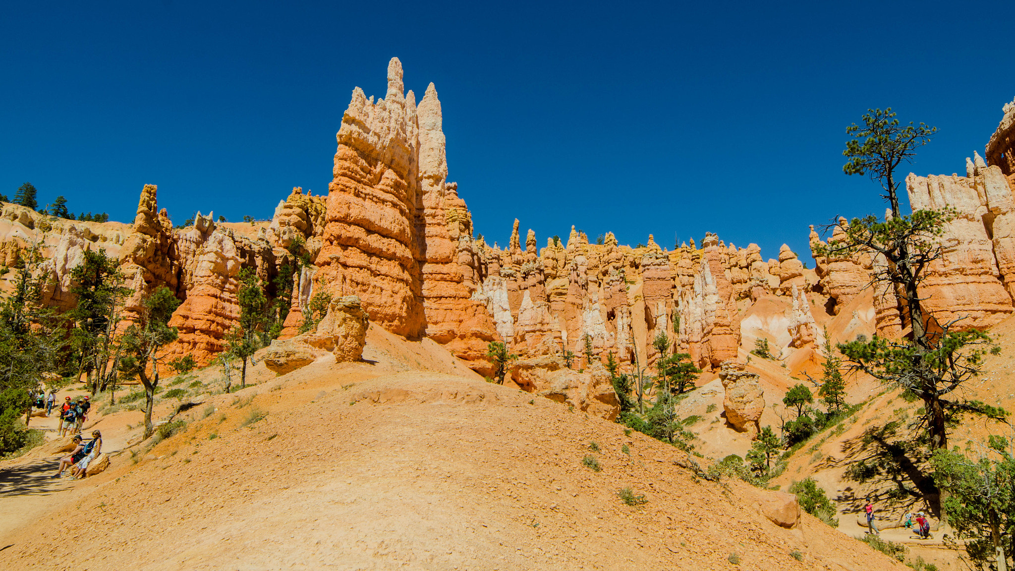 Samyang 14mm F2.8 ED AS IF UMC sample photo. Bryce canyon photography