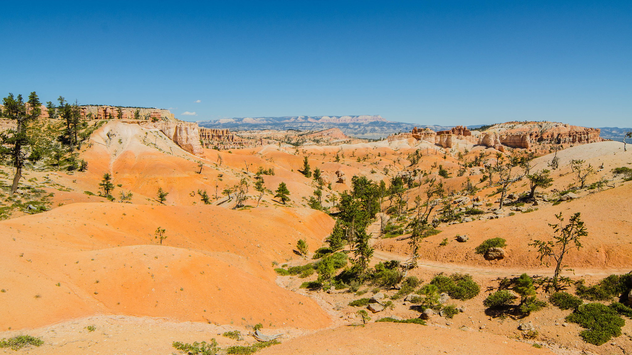 Samyang 14mm F2.8 ED AS IF UMC sample photo. Bryce canyon photography