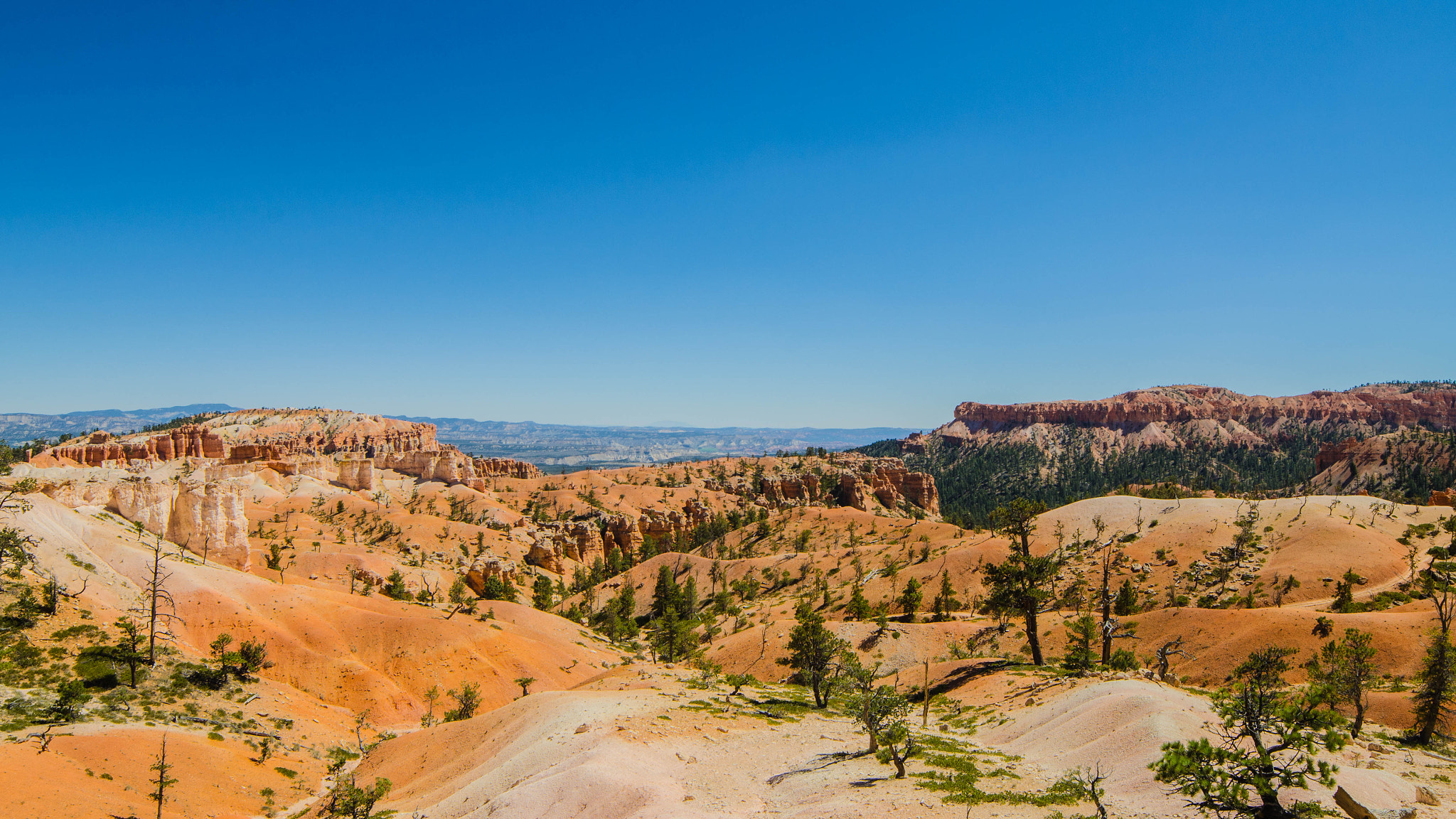 Samyang 14mm F2.8 ED AS IF UMC sample photo. Bryce canyon photography