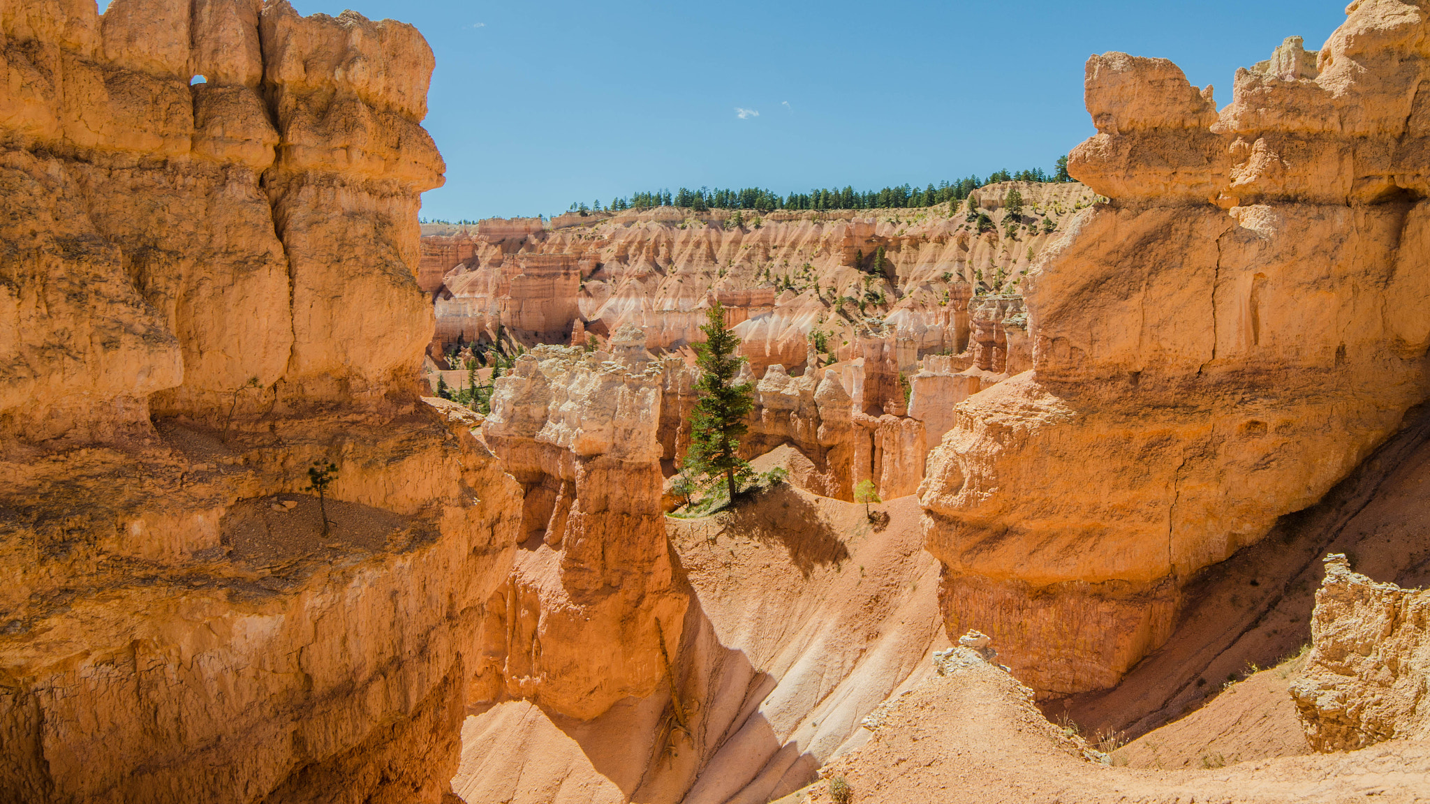 Samyang 14mm F2.8 ED AS IF UMC sample photo. Bryce canyon photography