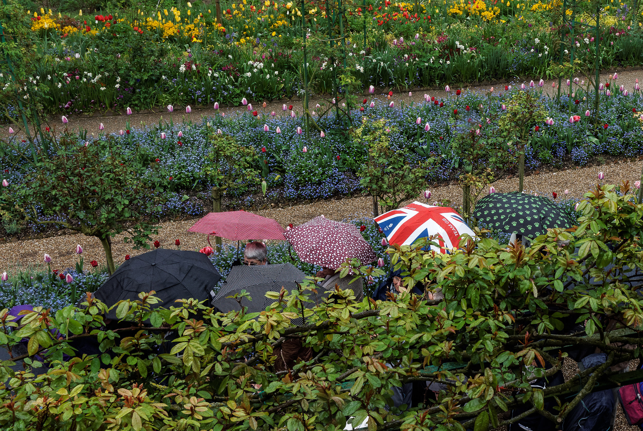 Sony Sonnar T* E 24mm F1.8 ZA sample photo. Monet's garden photography