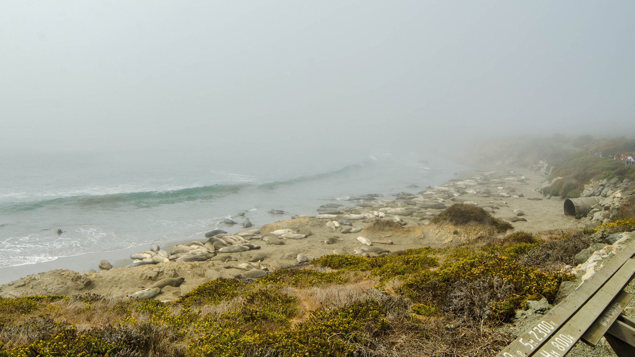 Samyang 14mm F2.8 ED AS IF UMC sample photo. Californie photography