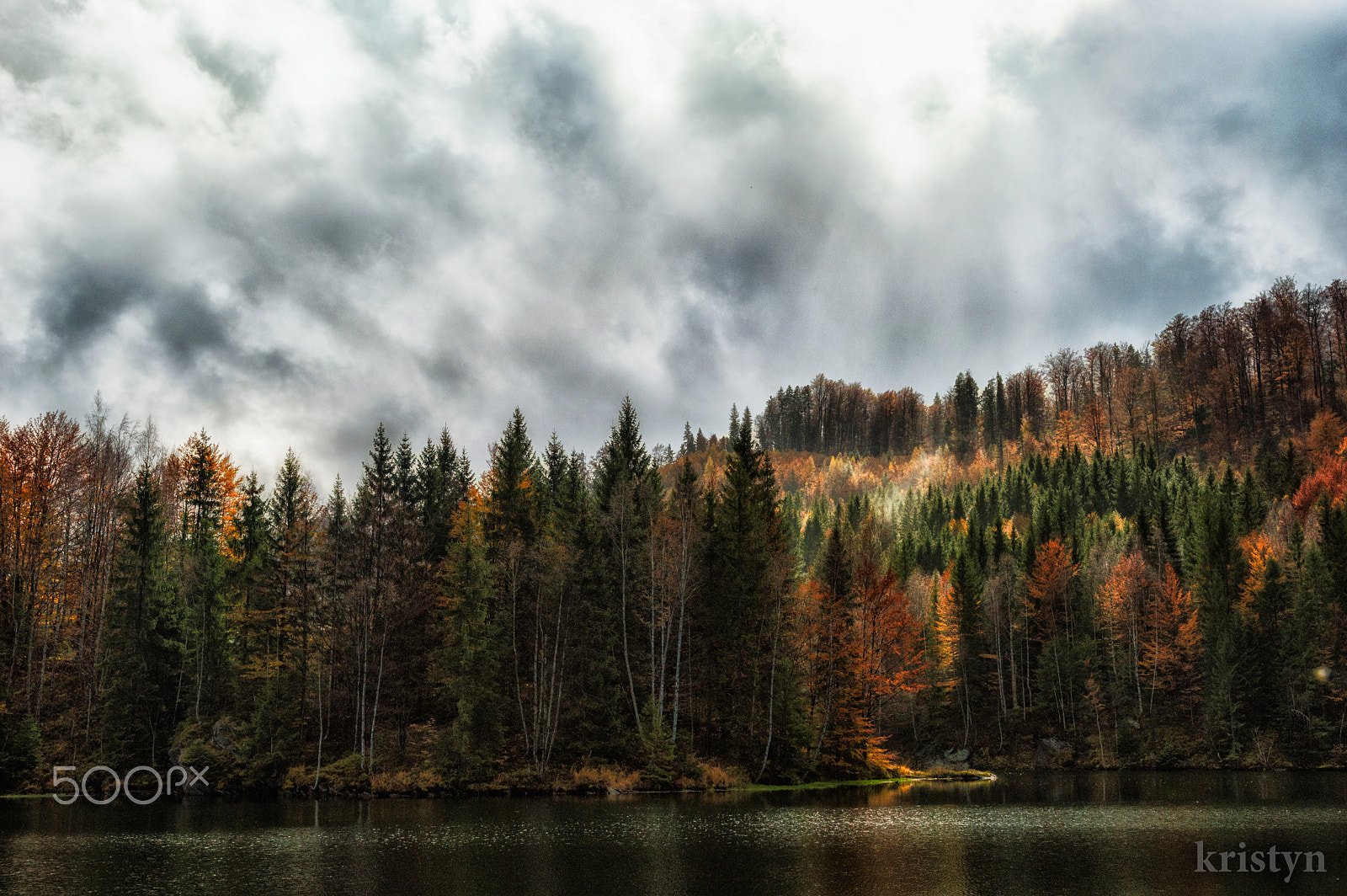 Nikon D3200 sample photo. Colors of the forest photography
