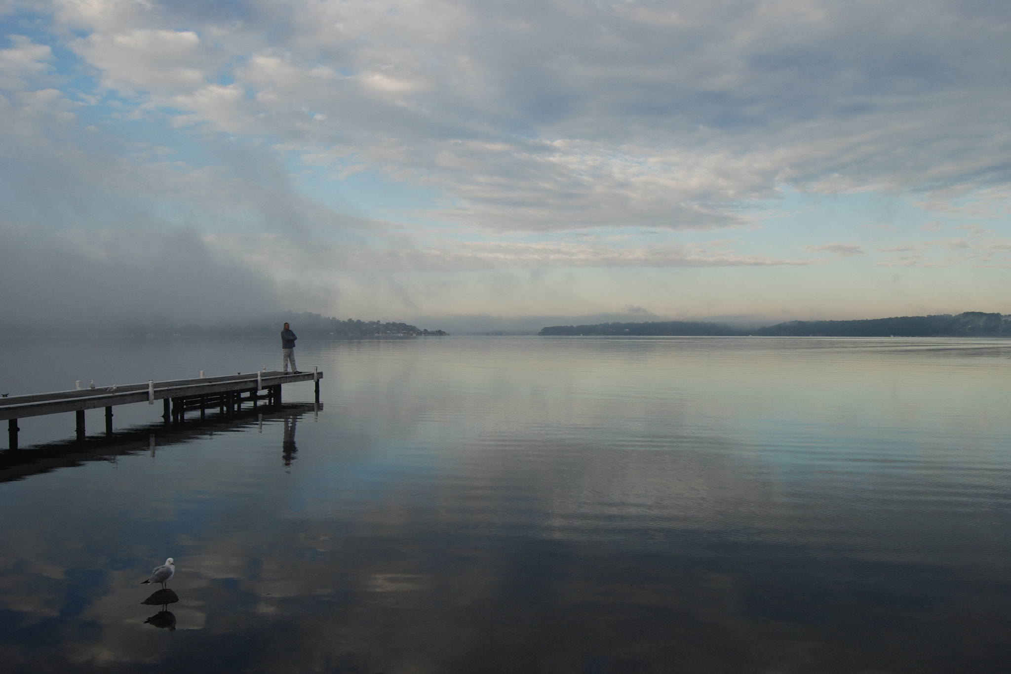 Nikon D80 sample photo. Special morning photography