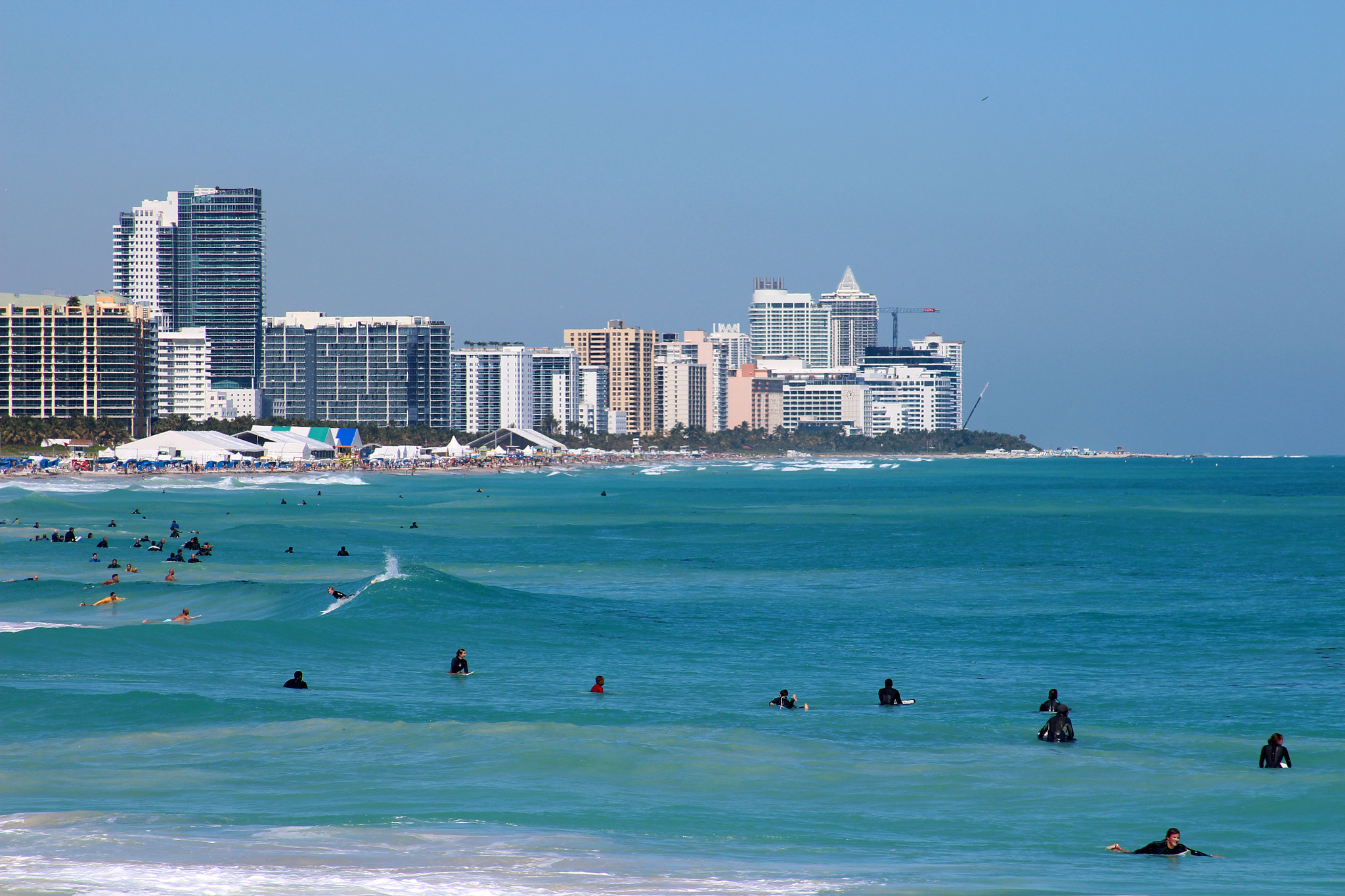 Canon EF 28-135mm F3.5-5.6 IS USM sample photo. Austrinus ready for the beach photography