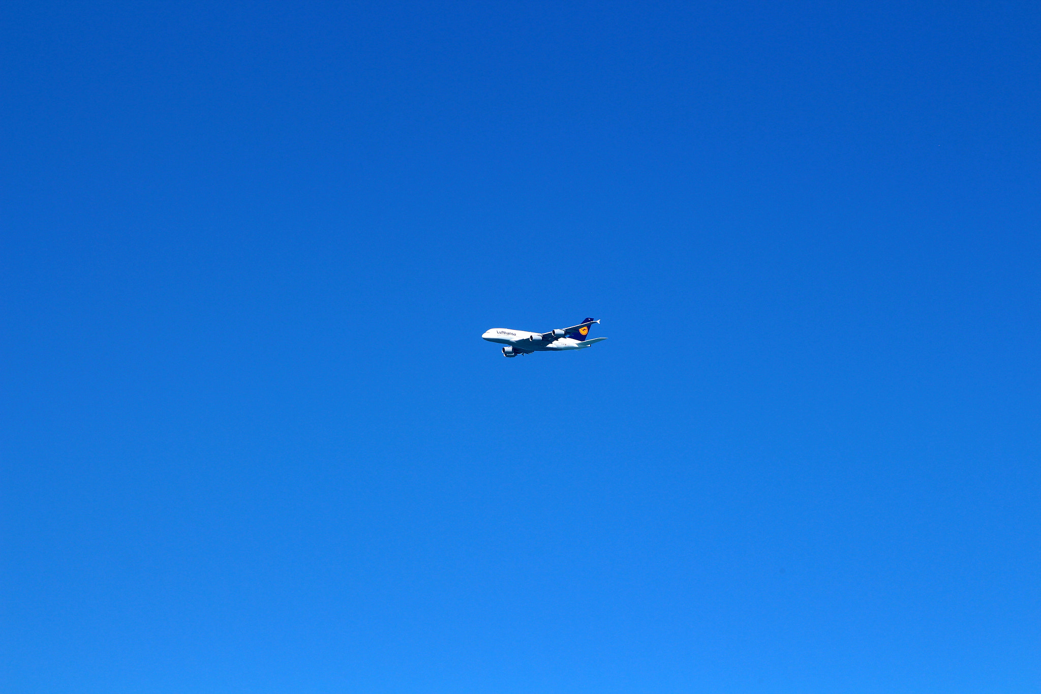 Canon EF 28-135mm F3.5-5.6 IS USM sample photo. Austrinus lufthansa a photography
