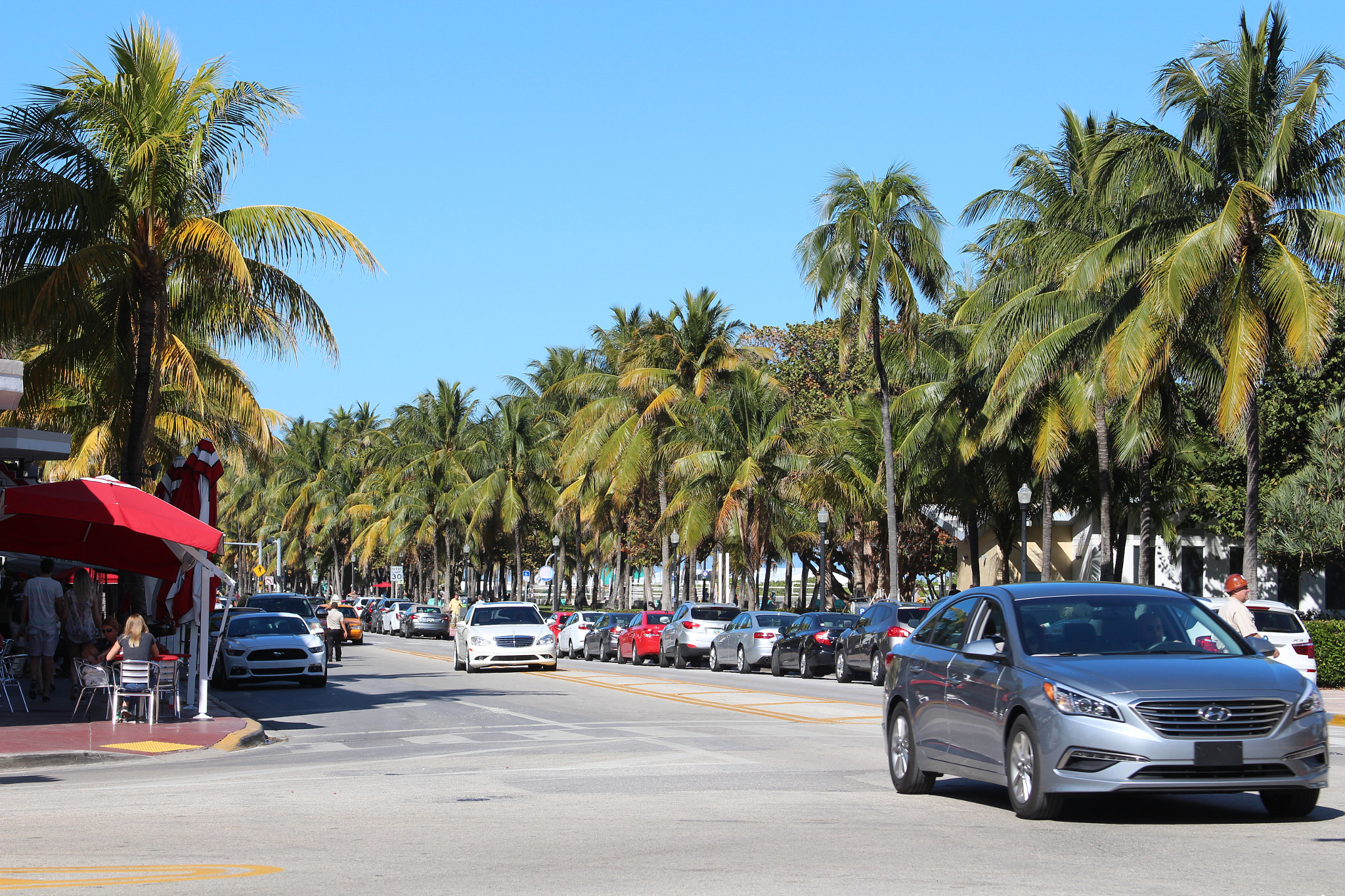 Canon EF 28-135mm F3.5-5.6 IS USM sample photo. Austrinus ocean drive zone photography
