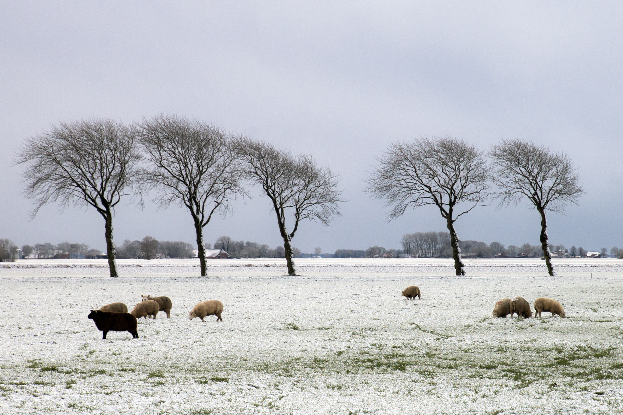 Sony a99 II sample photo. Winter photography