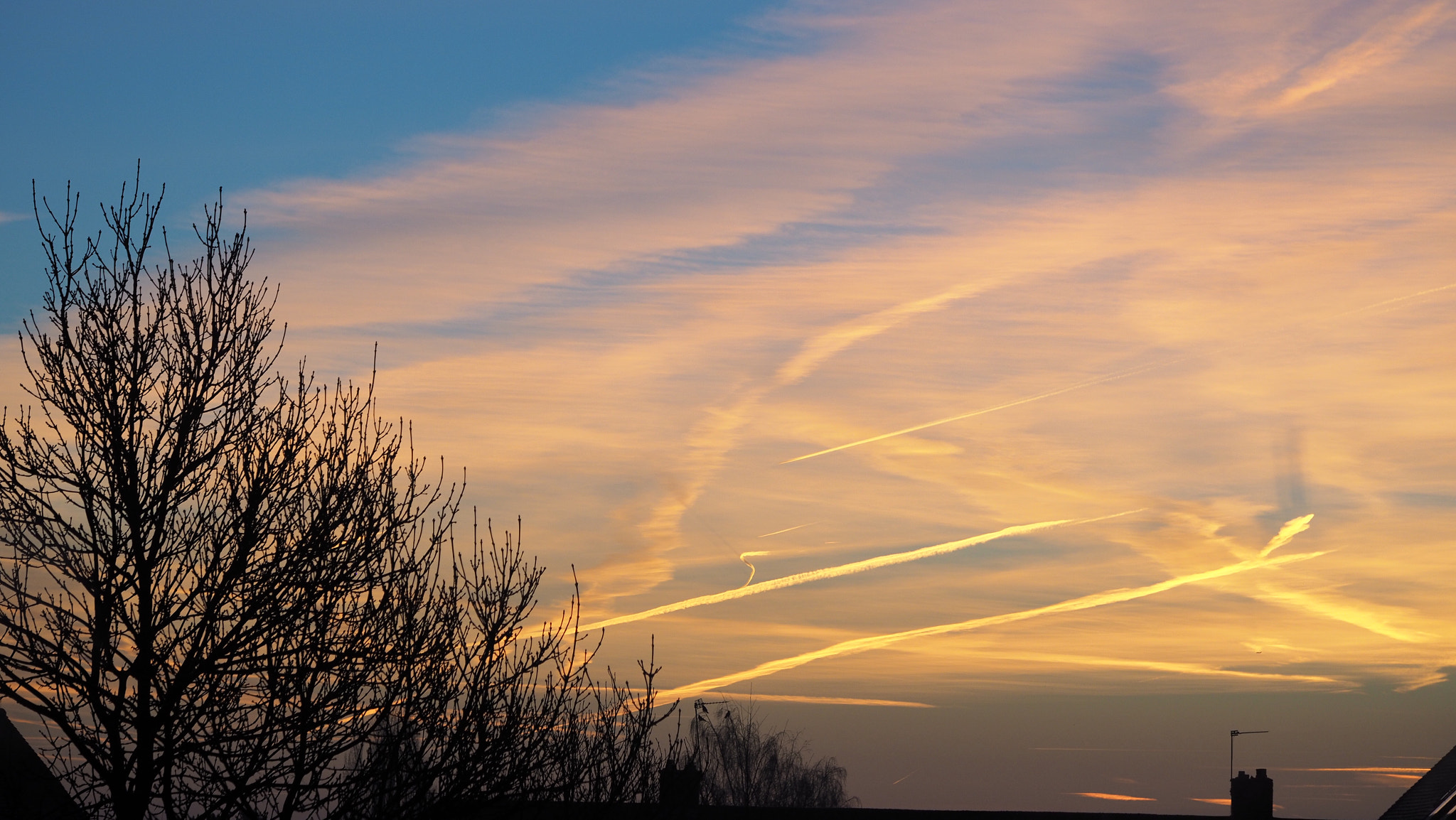 Olympus M.Zuiko Digital ED 60mm F2.8 Macro sample photo. Contrails photography