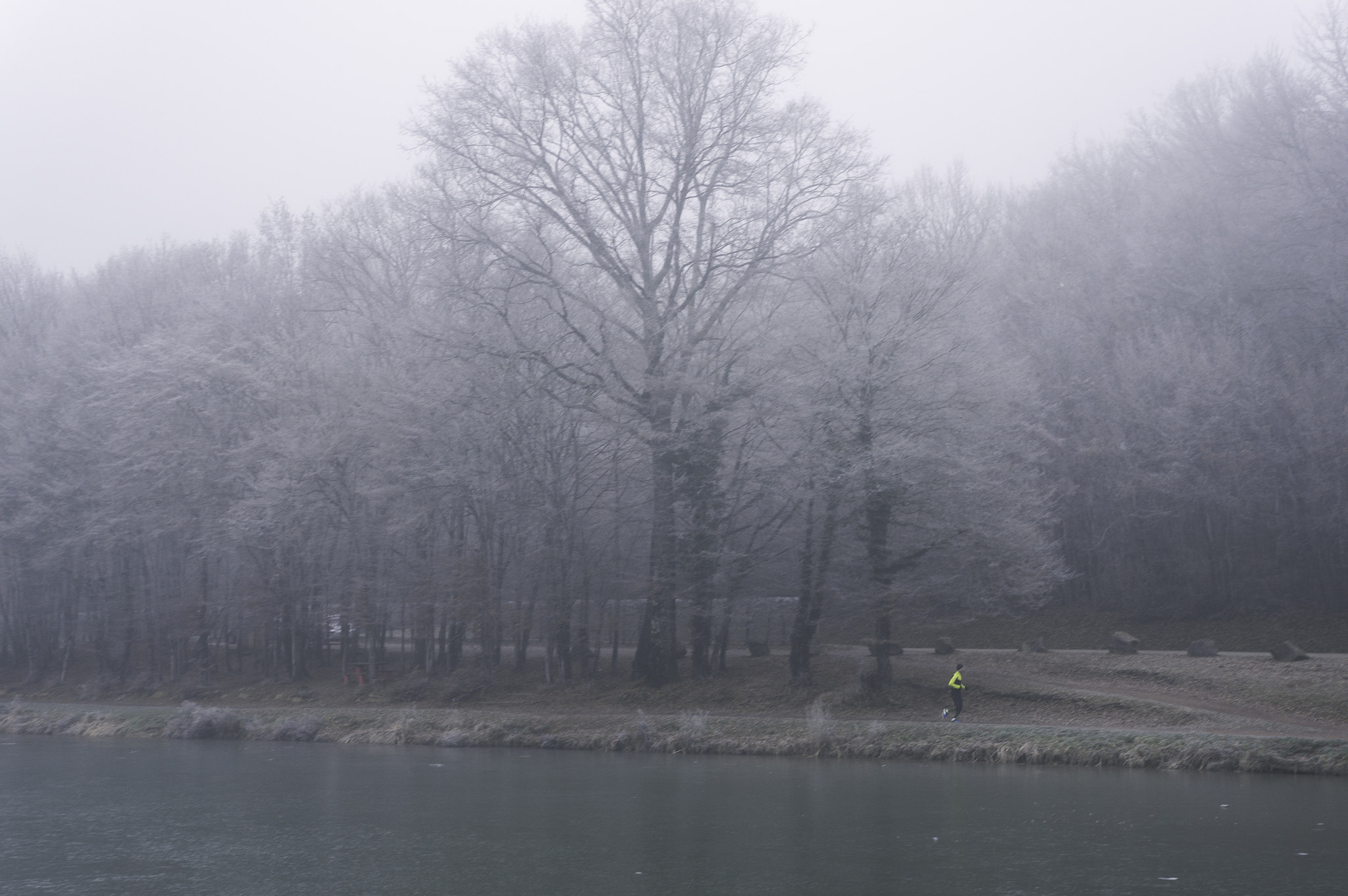 Sony Alpha NEX-5R + Sony E 18-55mm F3.5-5.6 OSS sample photo. Runner in winter photography
