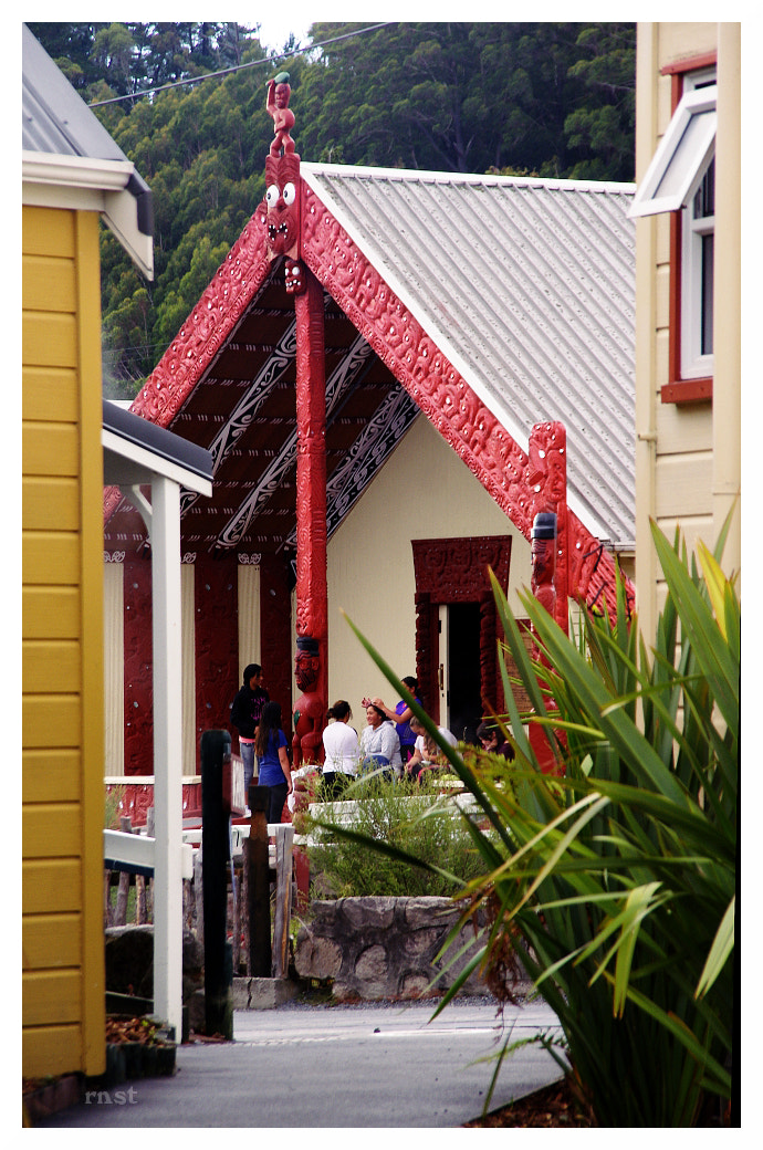 Sigma 18-200mm F3.5-6.3 DC sample photo. Aotearoa 03 photography