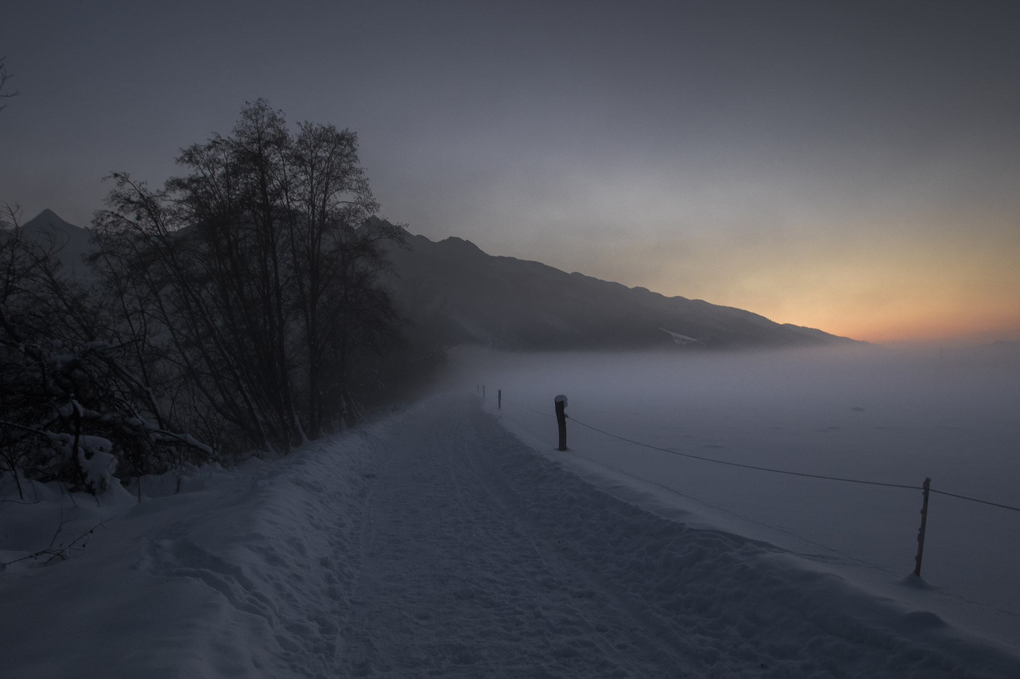 Canon EF 16-35mm F2.8L II USM sample photo. Winter walk photography