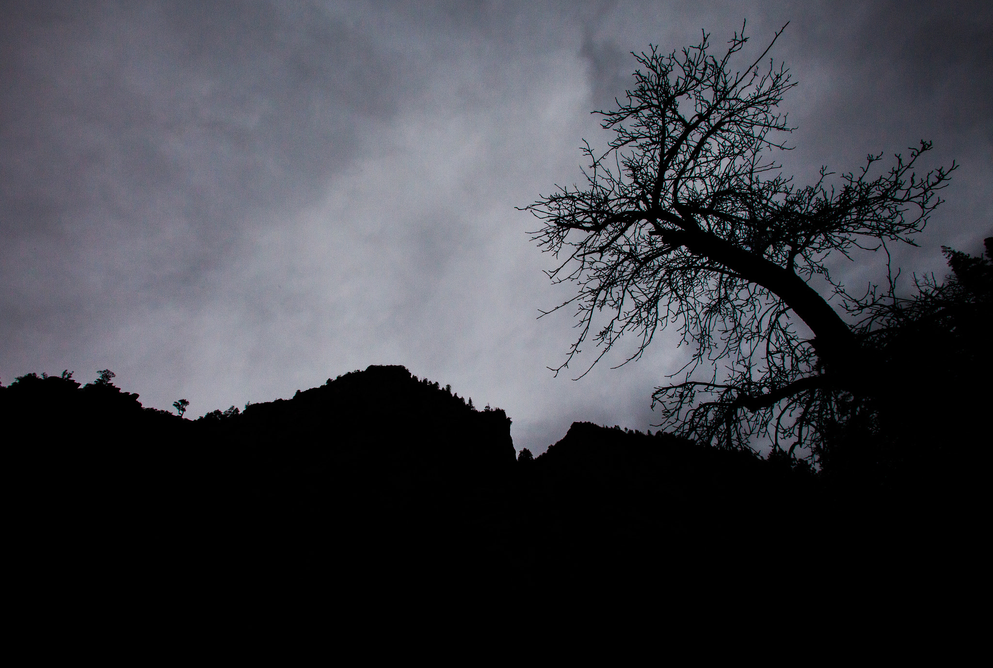 Canon EOS 5D Mark II sample photo. West fork silhouette photography