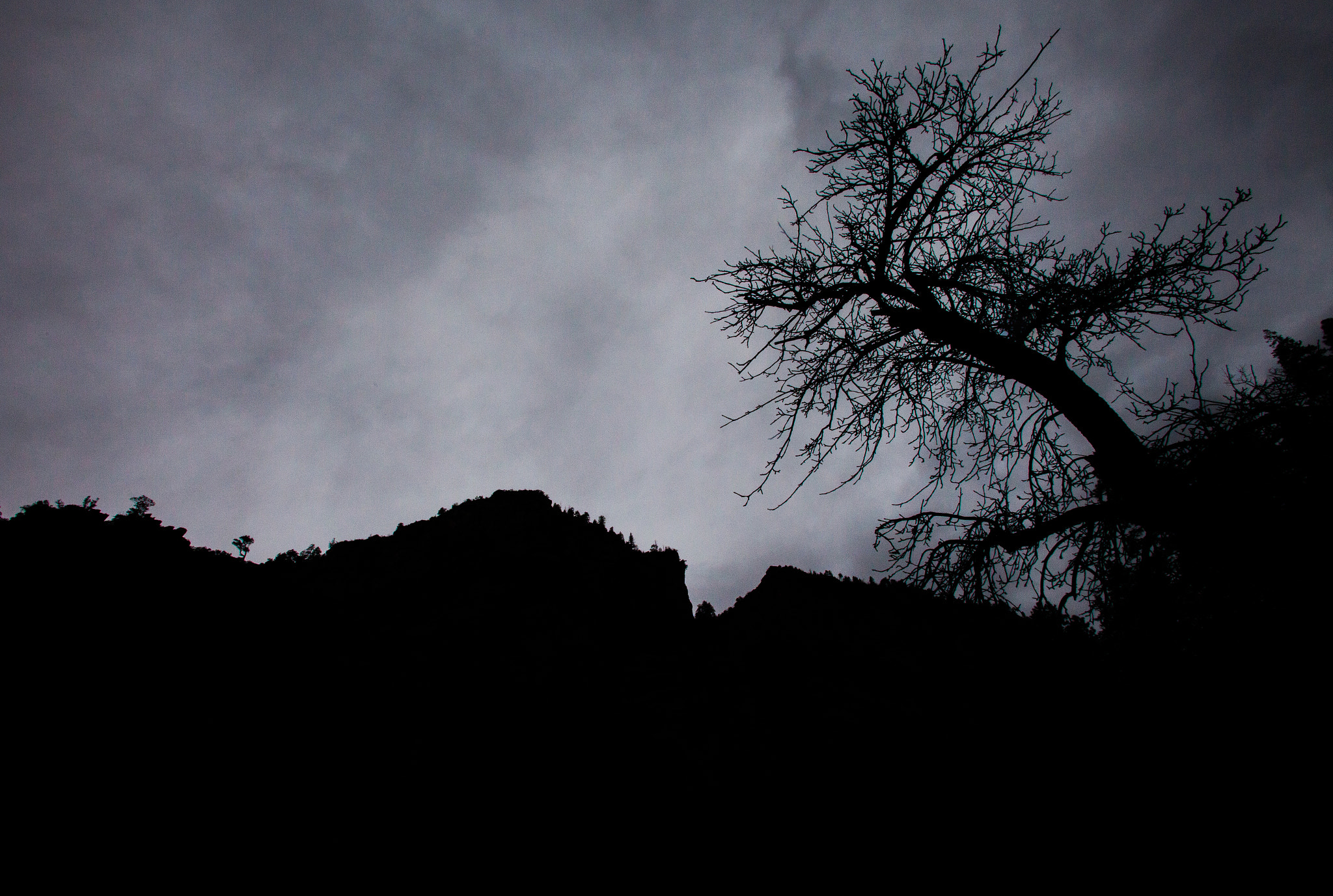 Canon EF 17-35mm f/2.8L sample photo. West fork silhouette photography