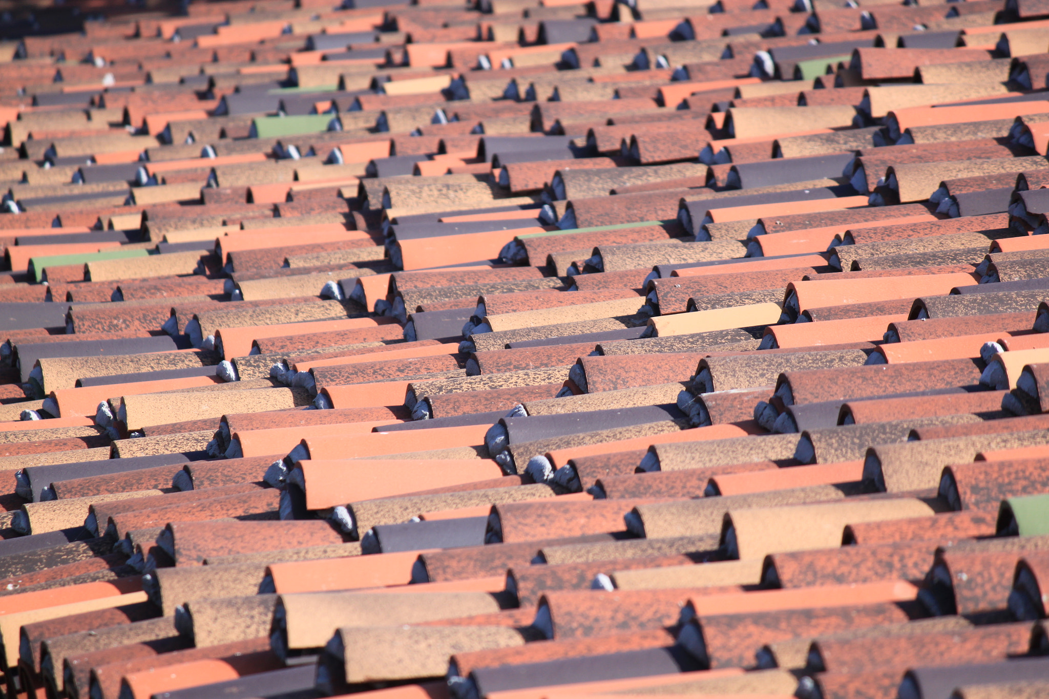 Canon EF-S 55-250mm F4-5.6 IS sample photo. Rooftop photography