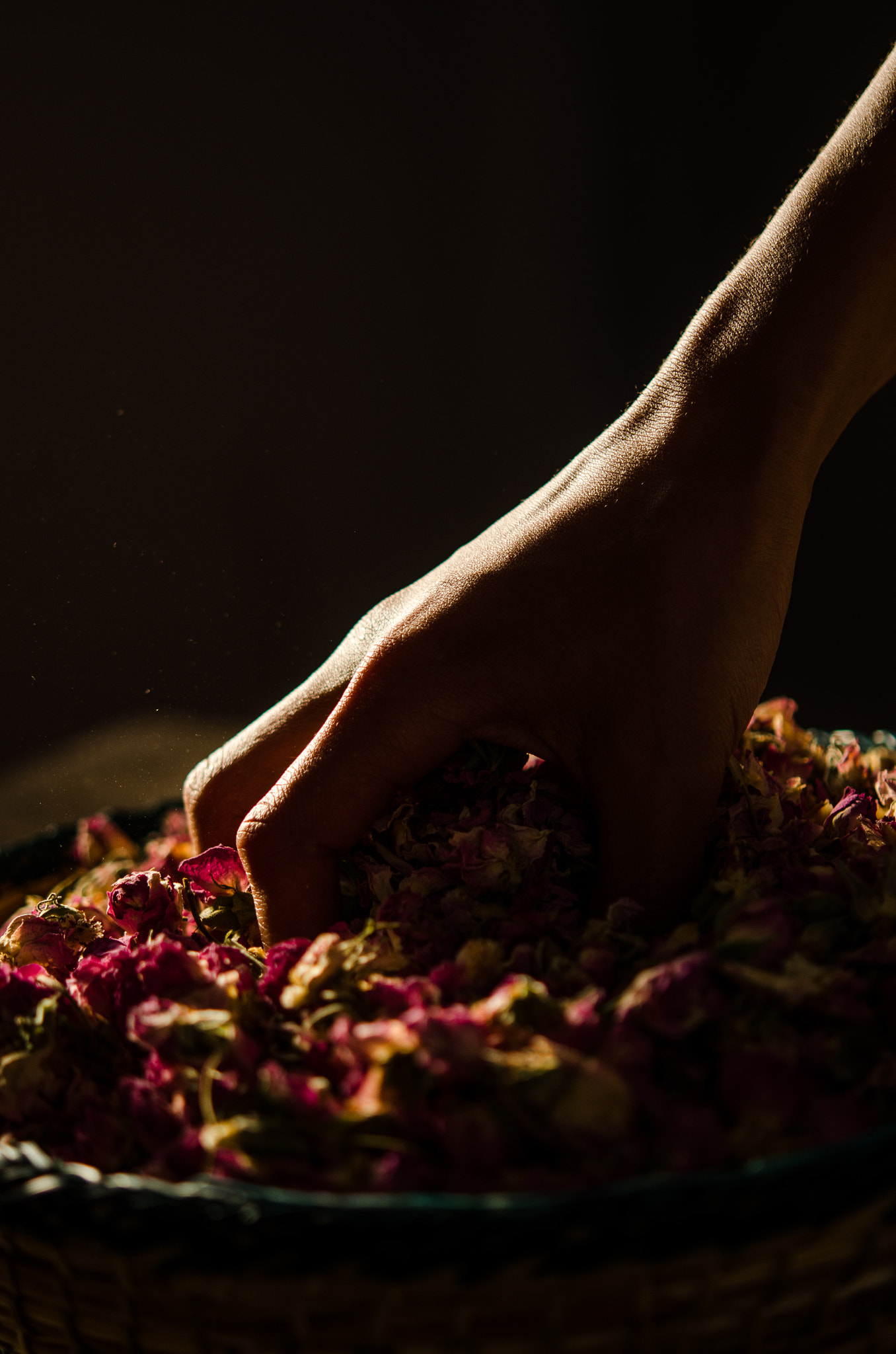 Nikon AF-S Micro-Nikkor 60mm F2.8G ED sample photo. Damascus roses photography