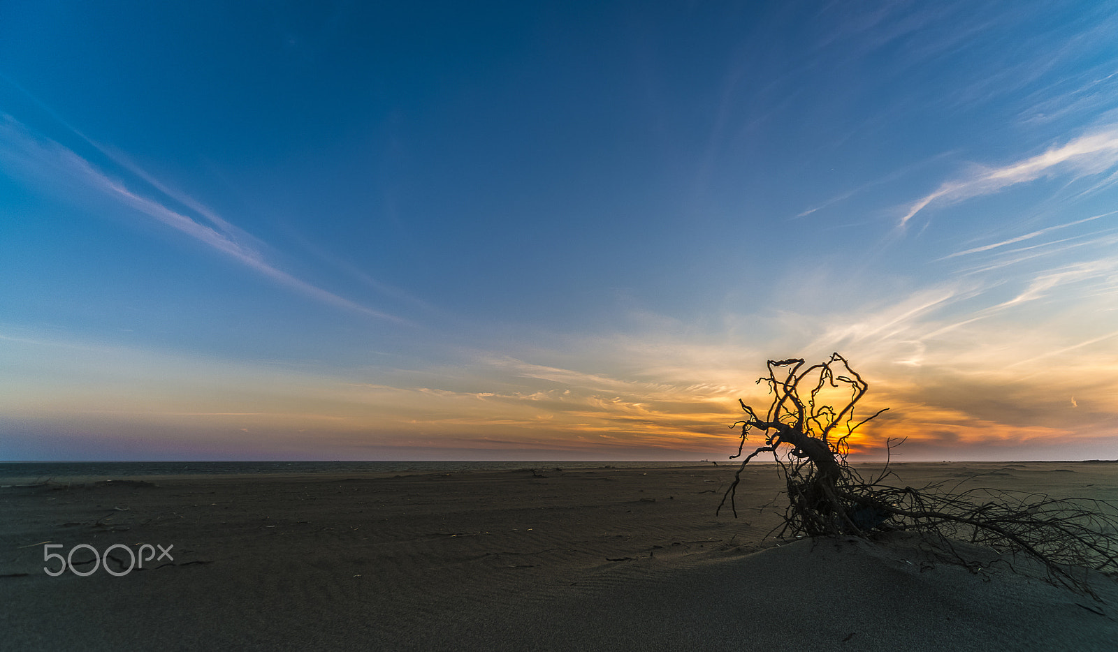 Sigma 12-24mm F4.5-5.6 EX DG Aspherical HSM sample photo. Twilight photography