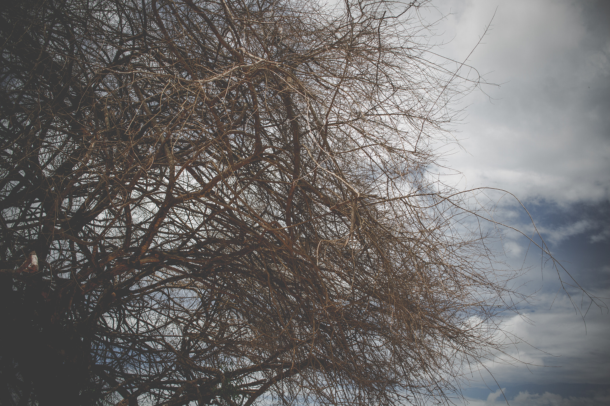 Canon EF-S 24mm F2.8 STM sample photo. The sun is dry and dry photography