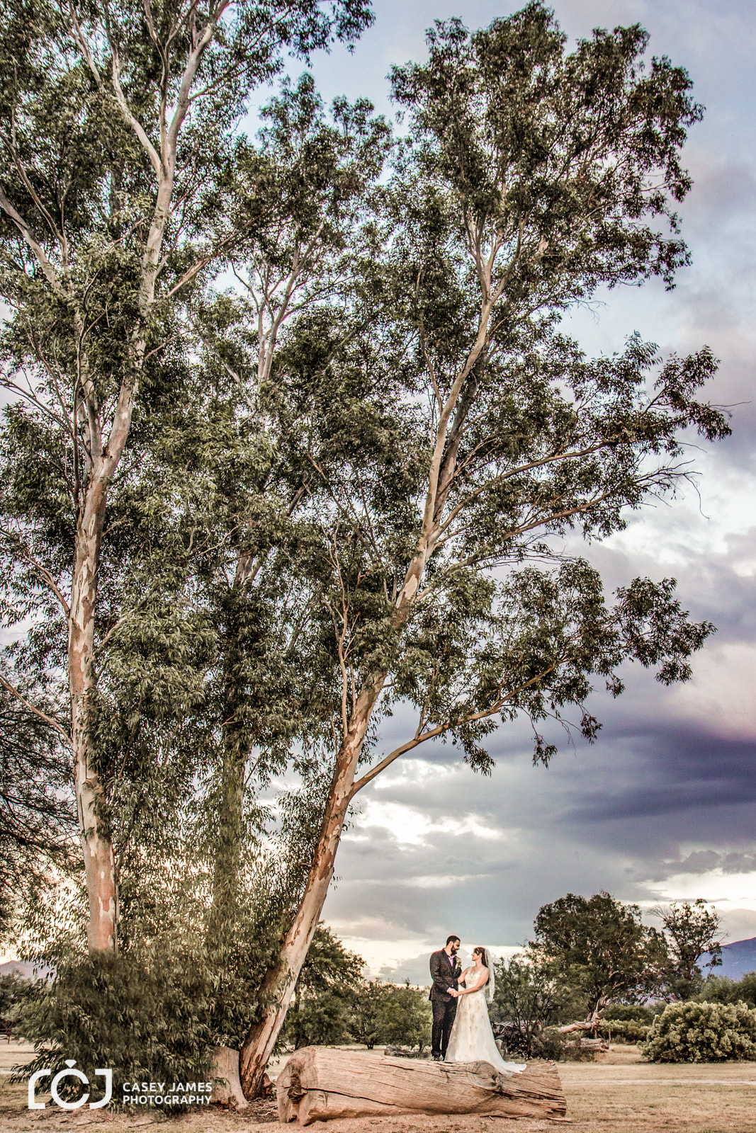 Canon EF-S 17-55mm F2.8 IS USM sample photo. La mariposa wedding phill & shannon tucson az photography