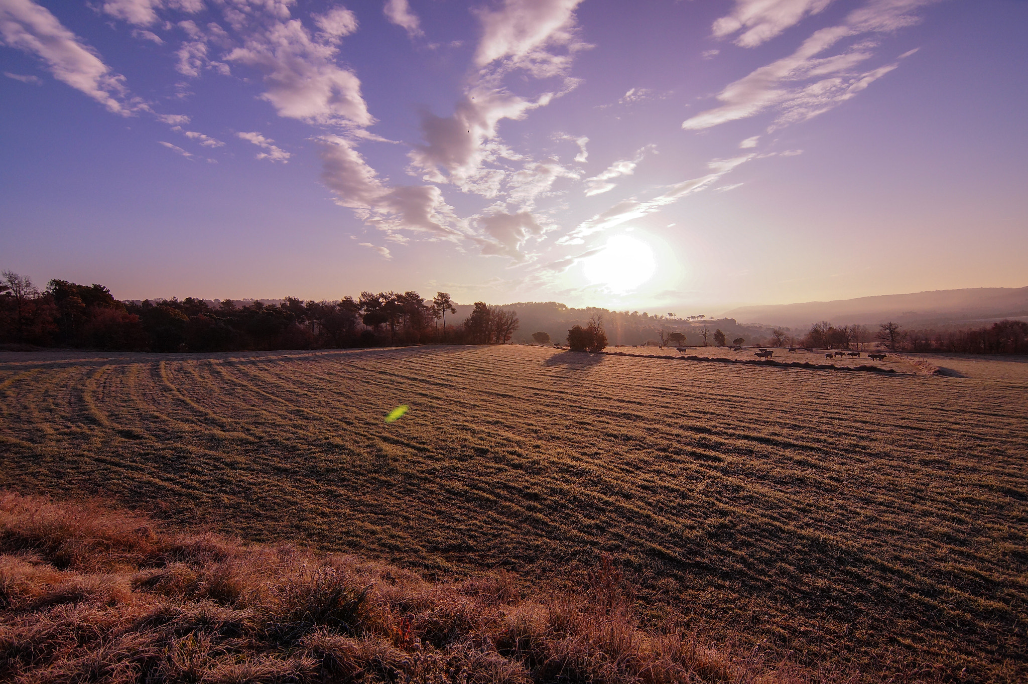 Sony SLT-A58 + 20mm F2.8 sample photo. Casserres photography