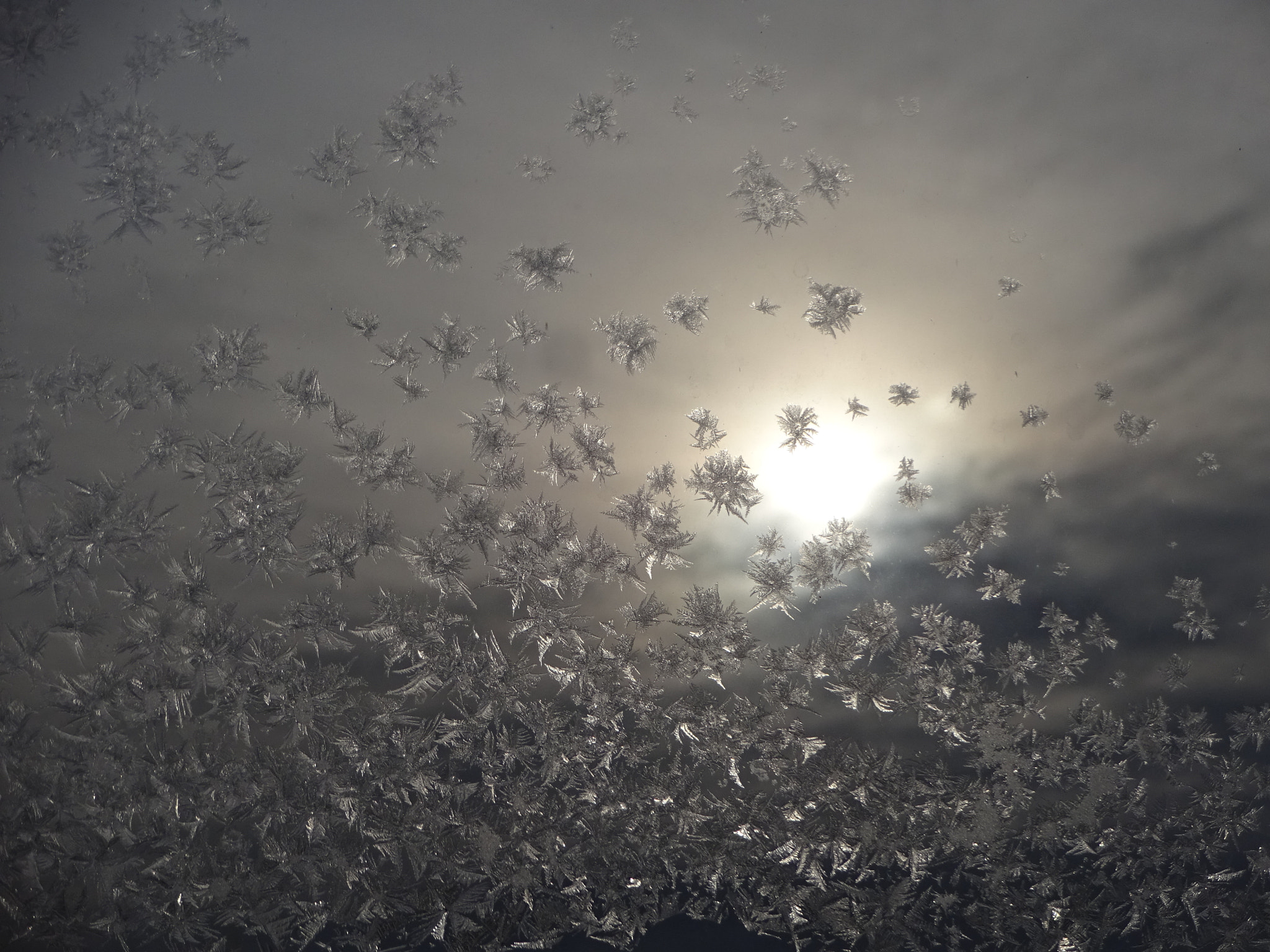 Sony Cyber-shot DSC-WX220 sample photo. Snowflakes magic 1 photography