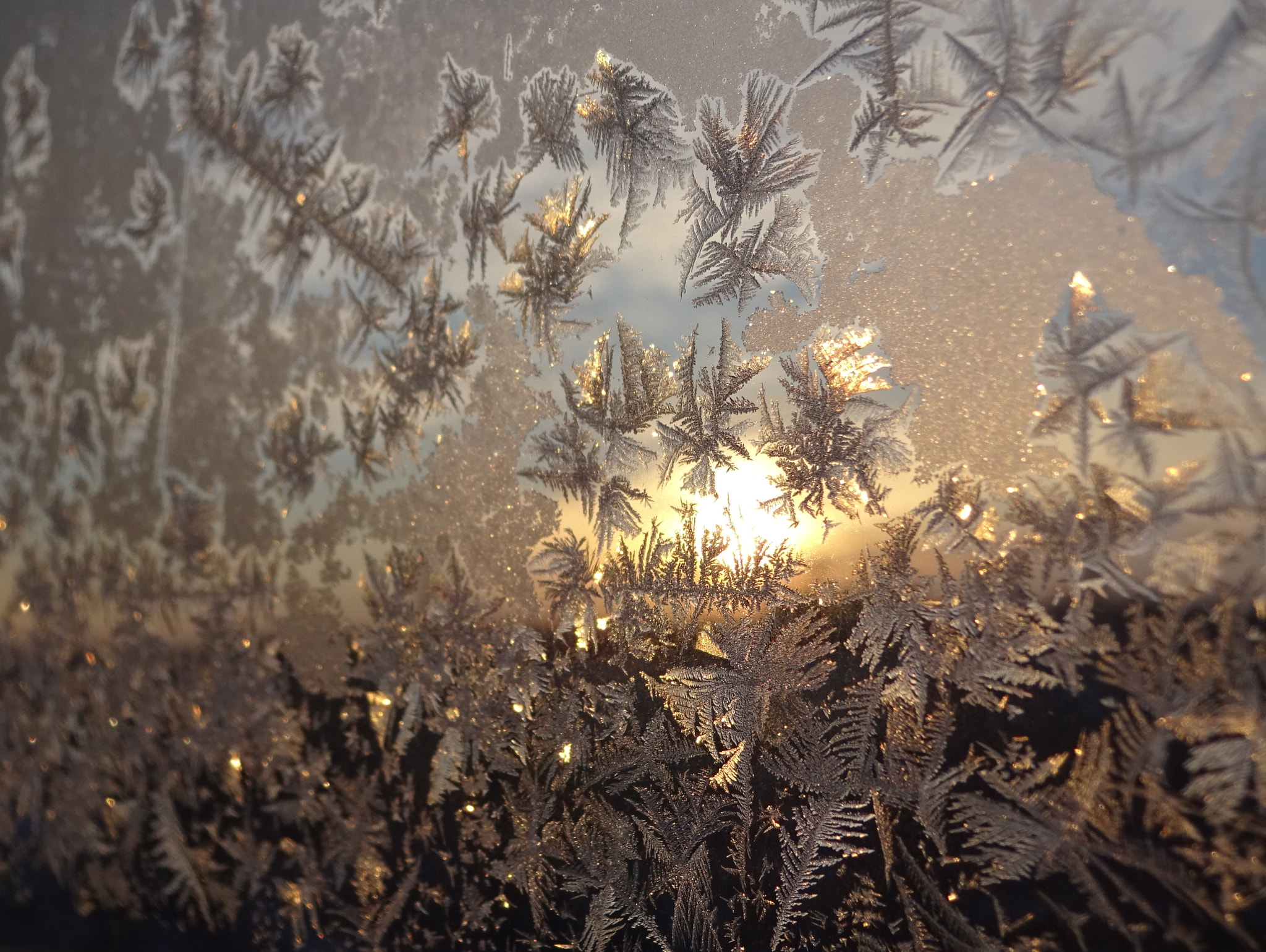 Sony Cyber-shot DSC-WX220 sample photo. Snowflakes magic 2 photography