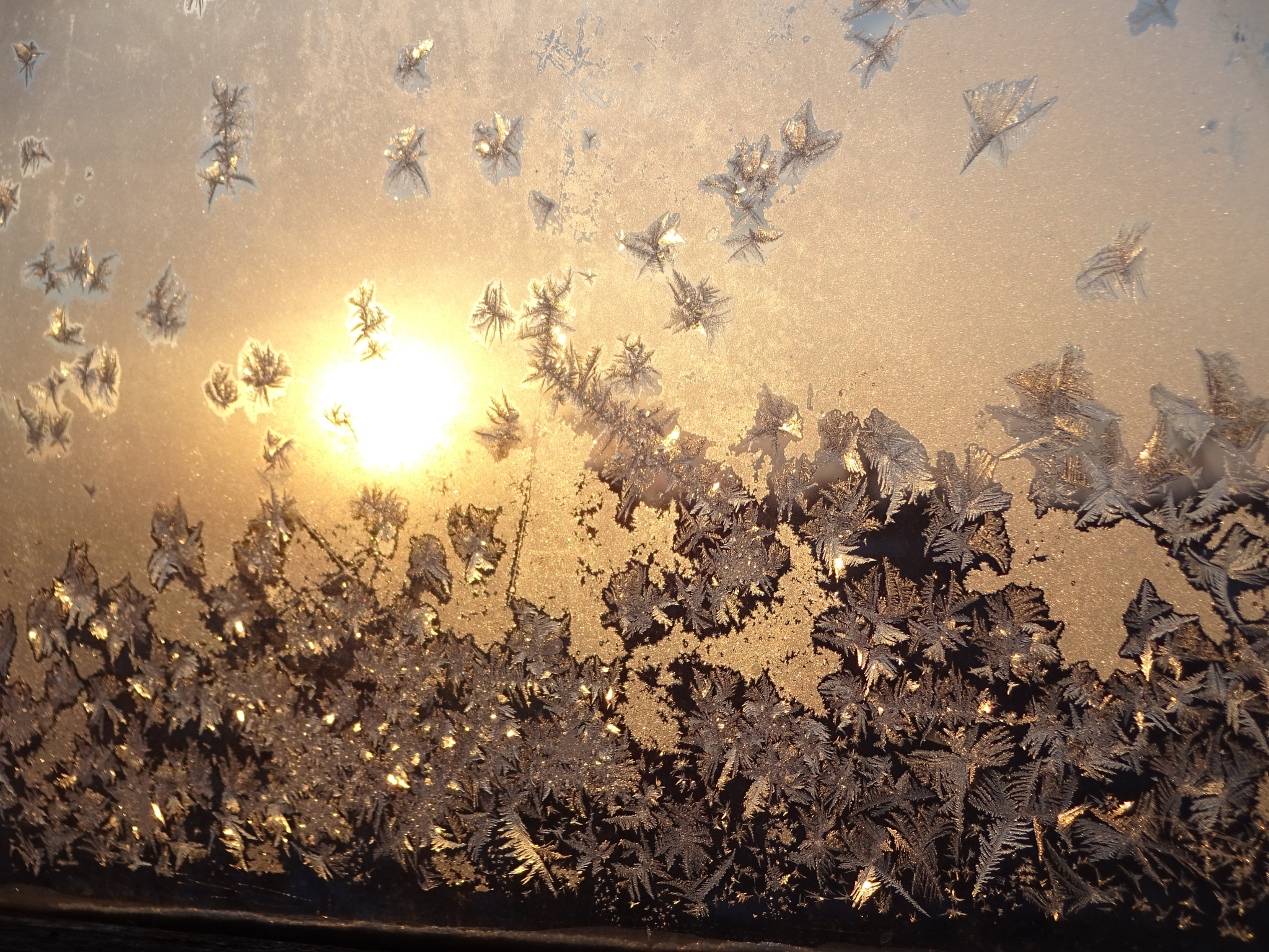 Sony Cyber-shot DSC-WX220 sample photo. Snowflakes magic 3 photography