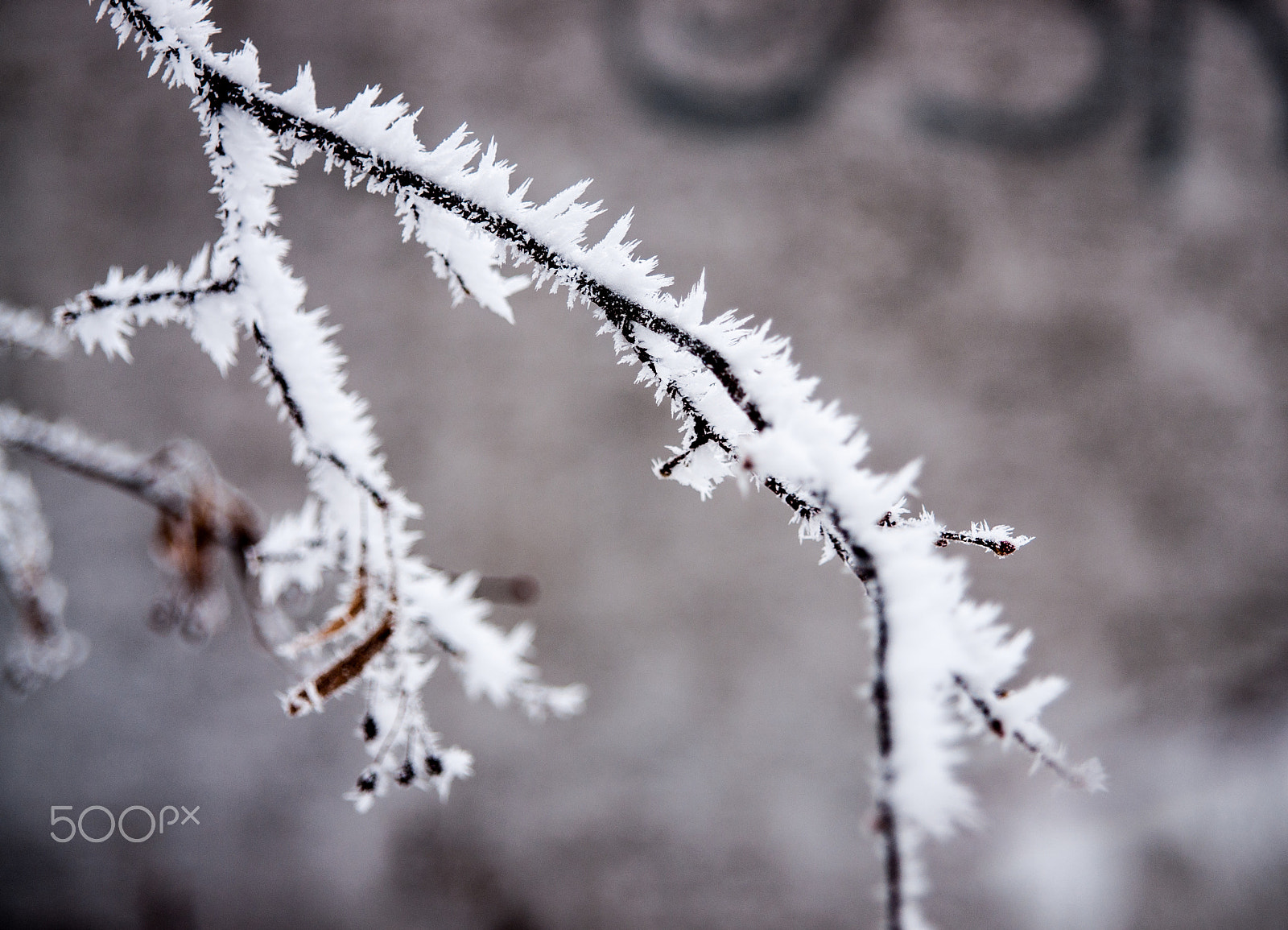 Sony Alpha DSLR-A700 + 24-70mm F2.8 sample photo. Snow. photography