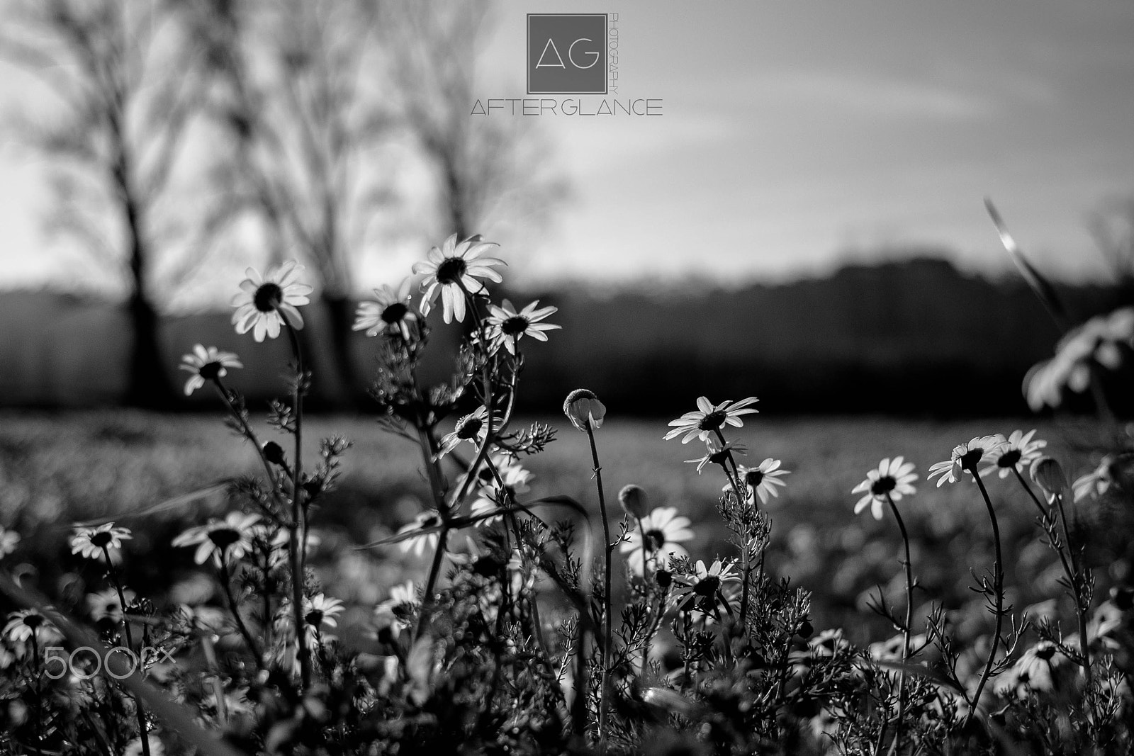Canon EF 35-80mm f/4-5.6 sample photo. The winter in black&white photography