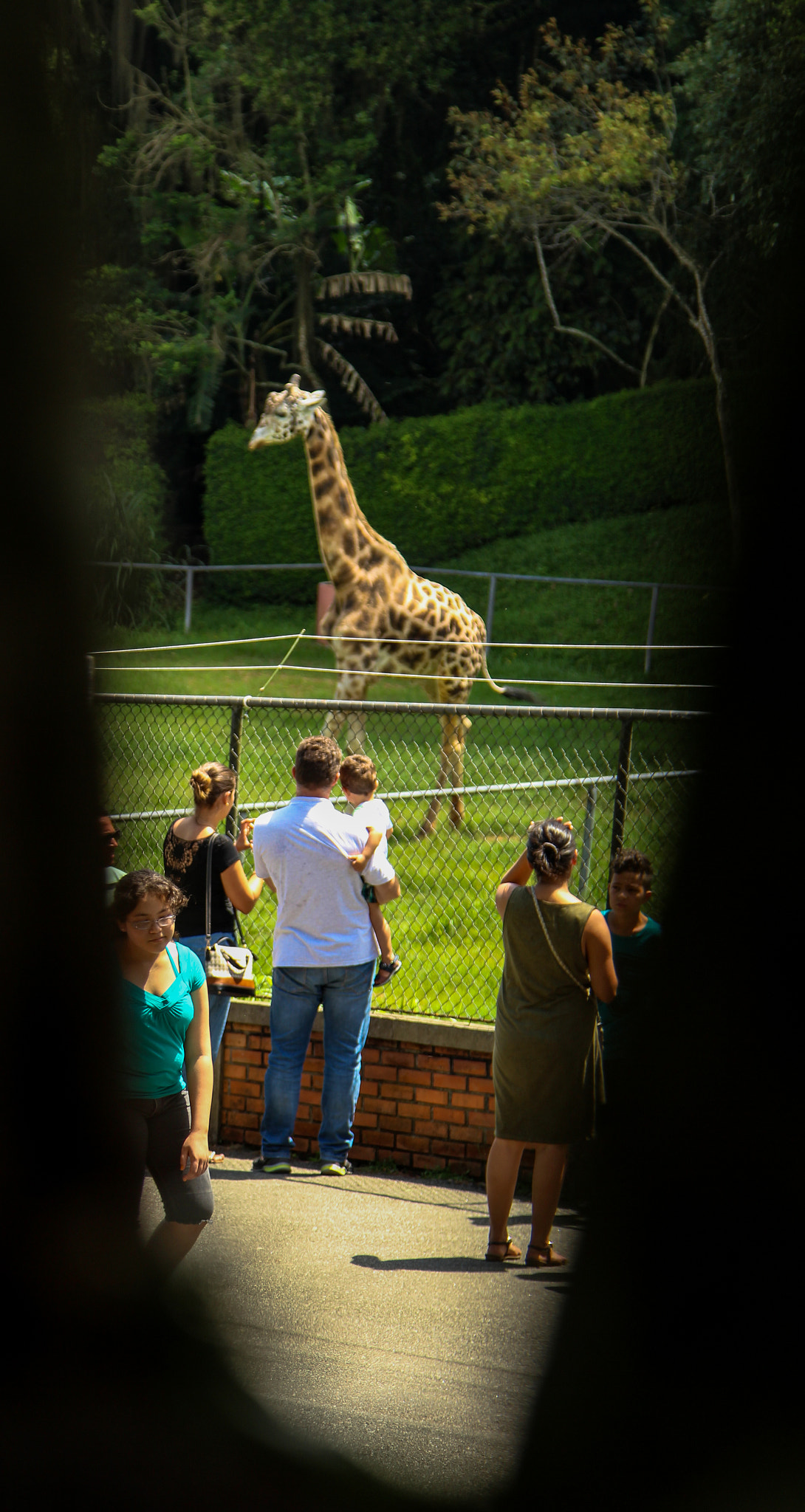 Canon EOS 700D (EOS Rebel T5i / EOS Kiss X7i) sample photo. Zoologico de curitiba photography