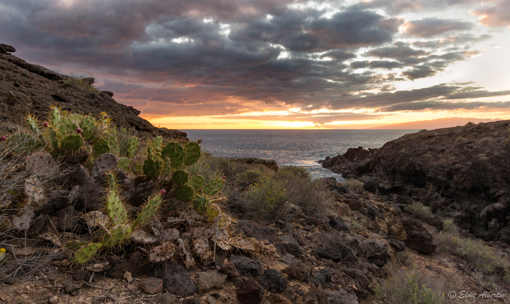 Sony Alpha DSLR-A500 sample photo. Prickly sunset photography