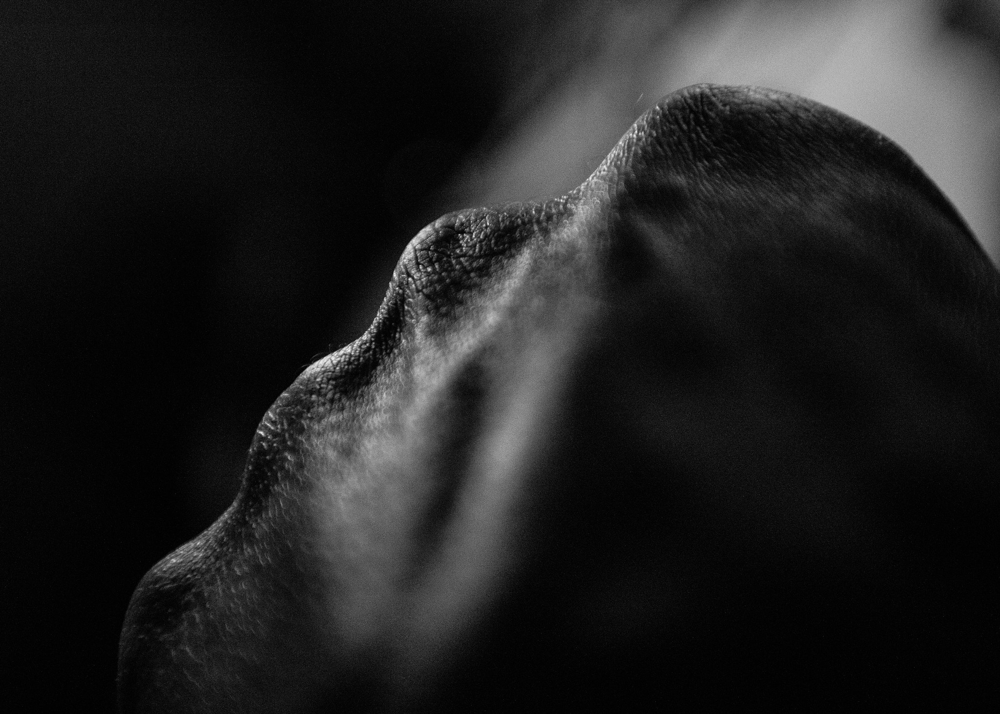 Canon EF 16-35mm F2.8L II USM sample photo. Eternal suffering photography